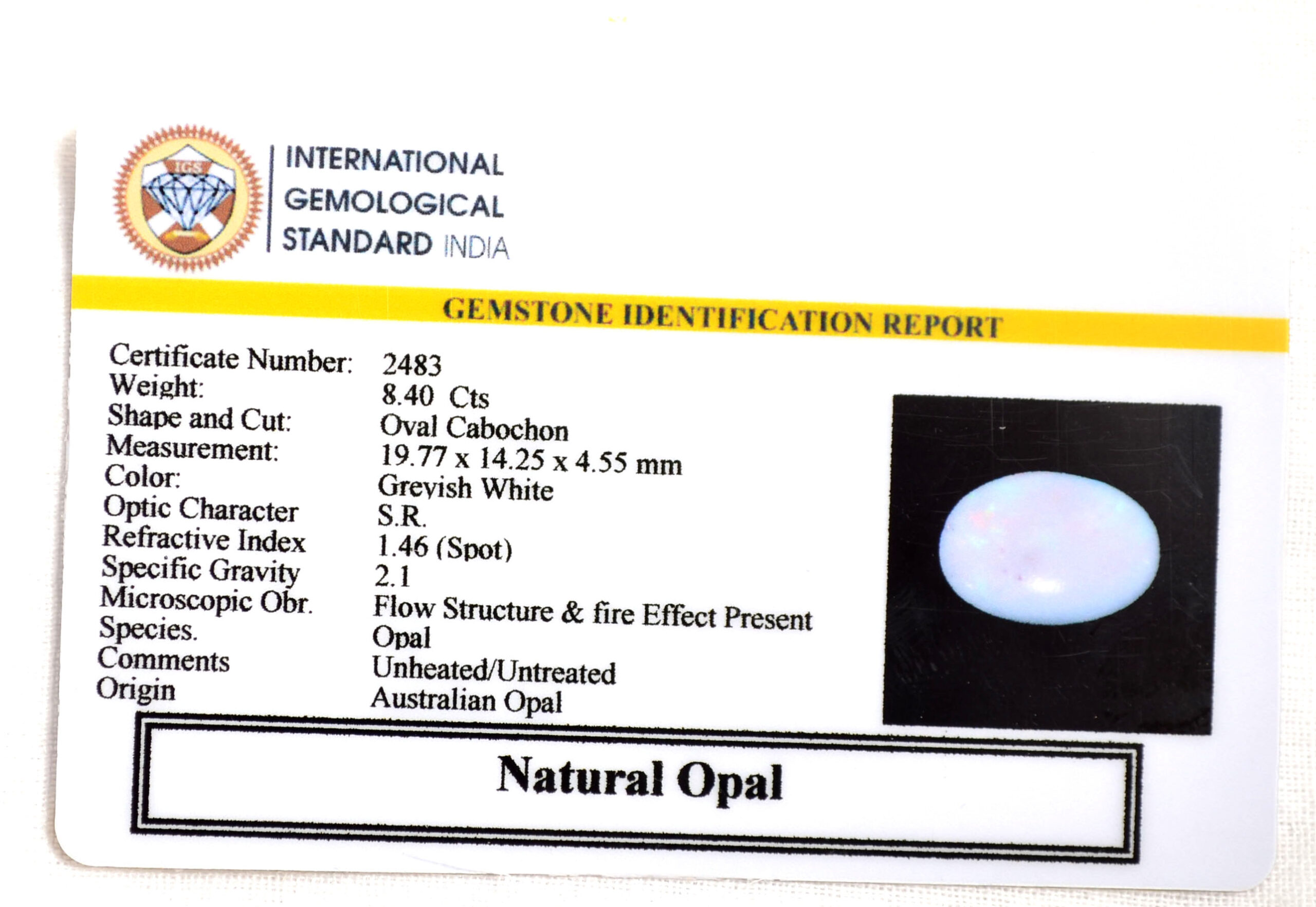 OPL9244 2 scaled OPAL 8.4 Ct.