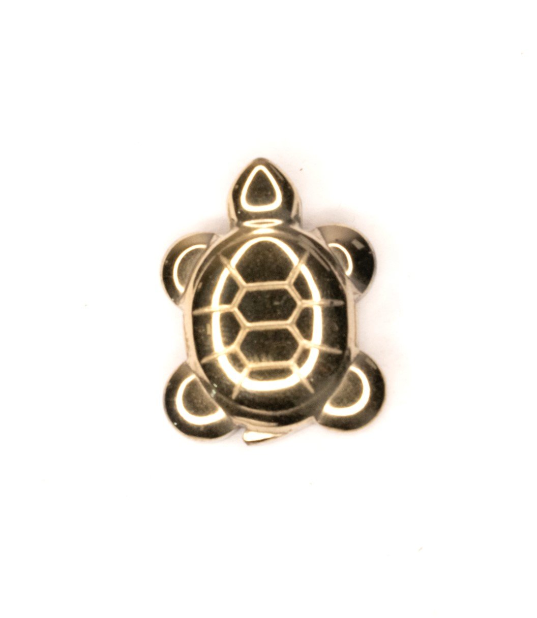 Pyrite turtle Pyrite and Selenite Combo