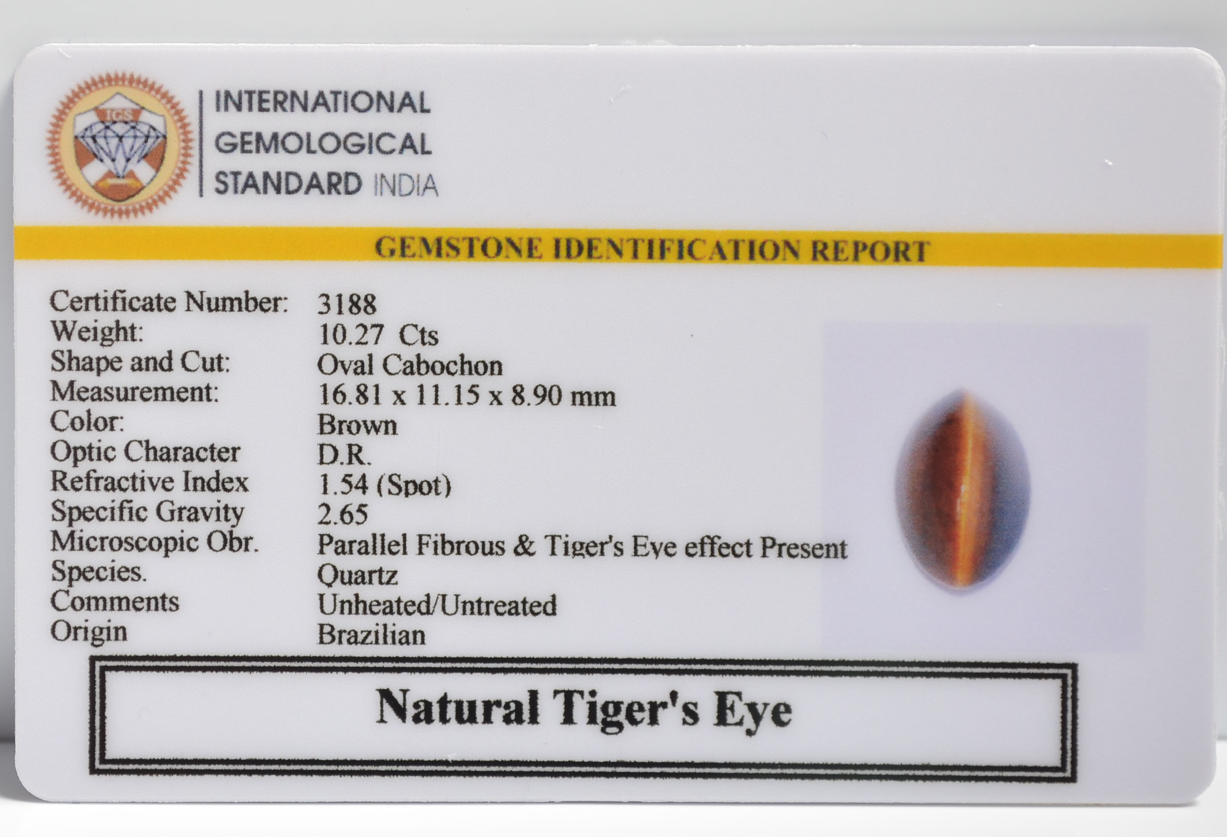 TGRG87 2 TIGER'S EYE 10.27 Ct.