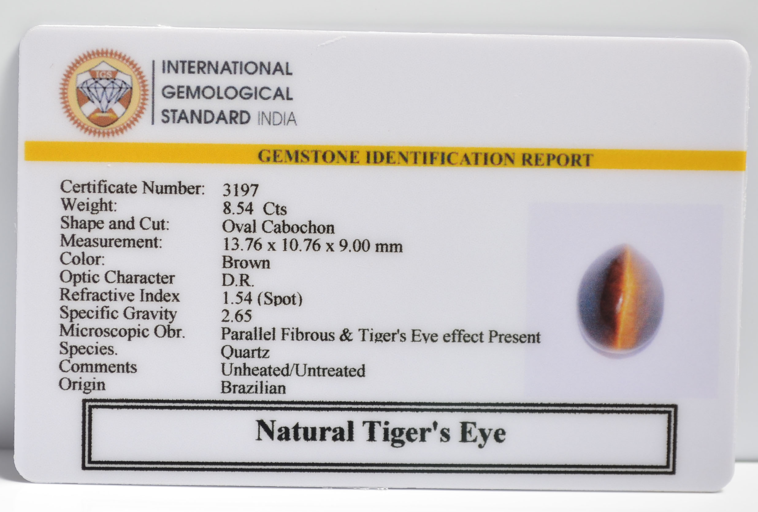 TGRG88 2 TIGER'S EYE 8.54 Ct.