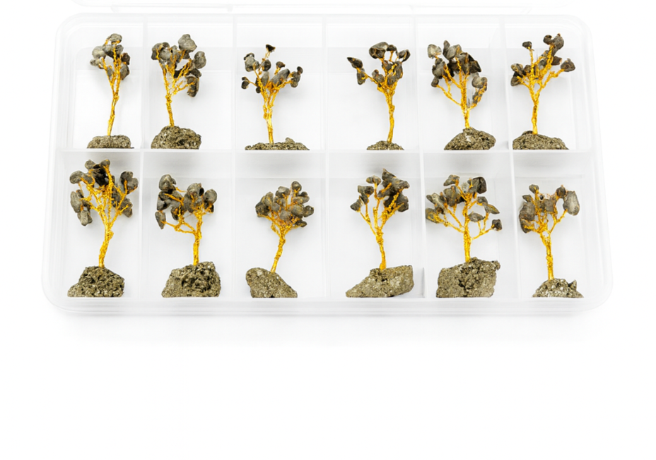 Mini Pyrite Tree Box
