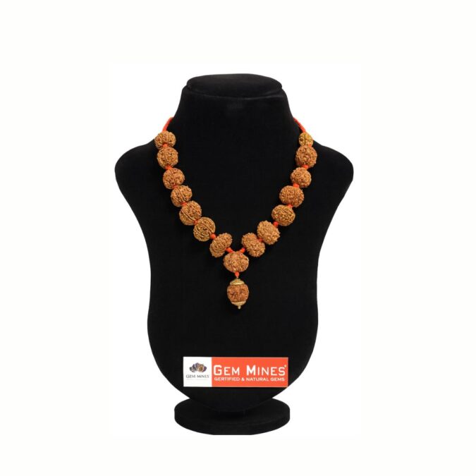 227 Nepali Rudraksha Mala Collector