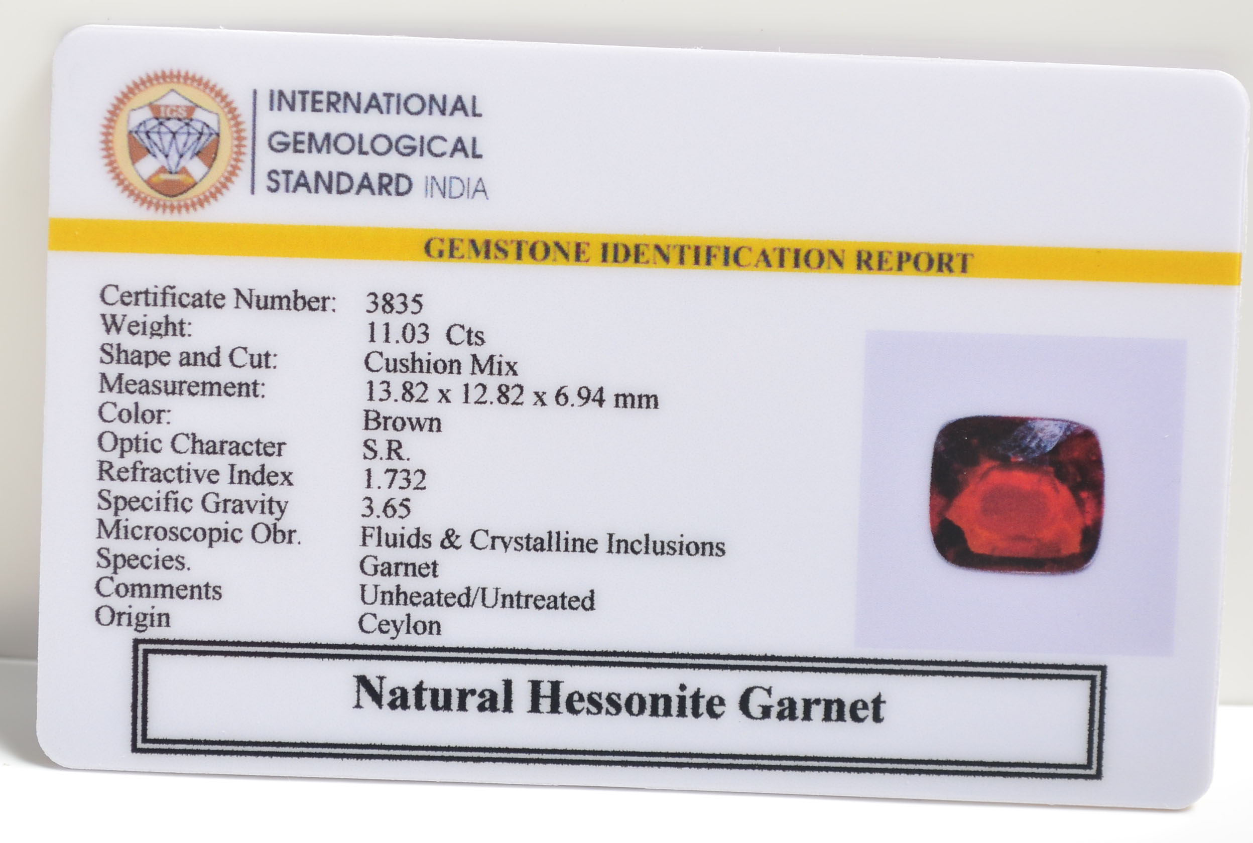 GMD7136 2 HESSONITE GOMED 11.03 Ct.