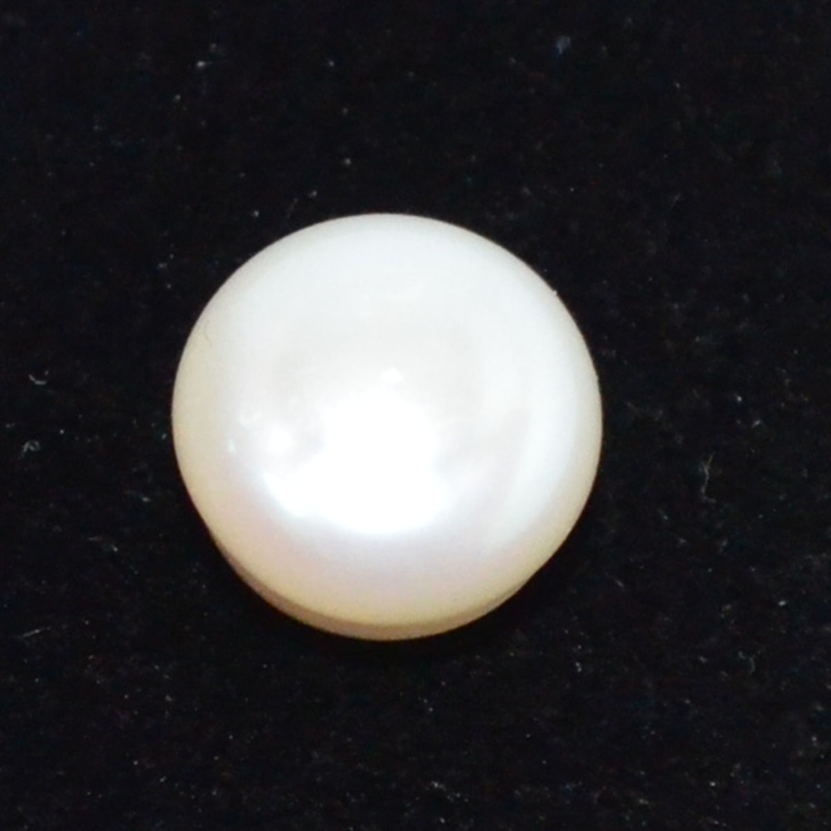 PEARL 5 Ct.