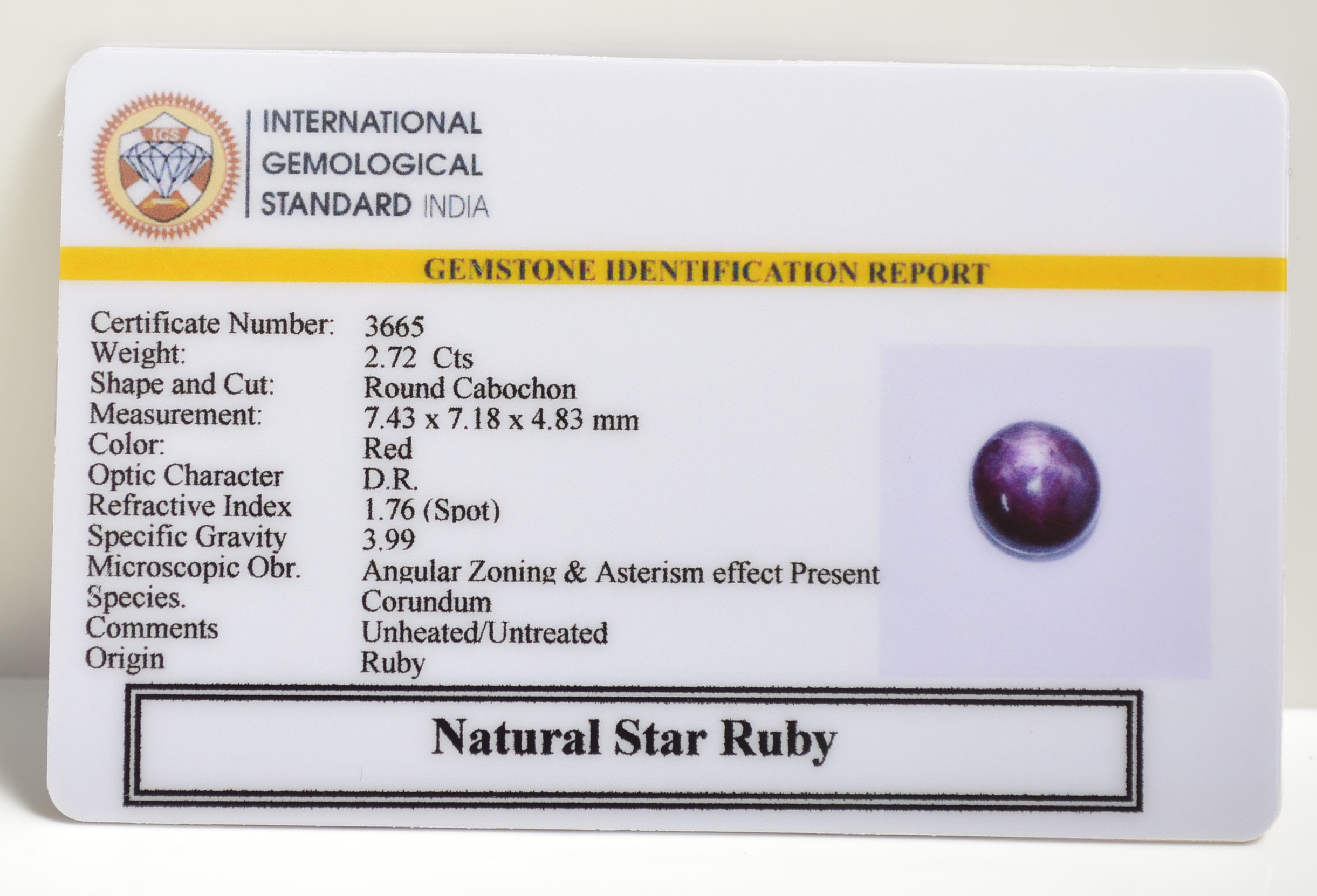 SRUBG321 2 STAR RUBY 2.72 Ct.
