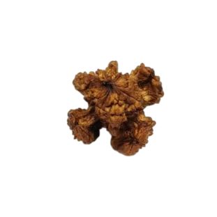 Kamal Rudraksha Premium