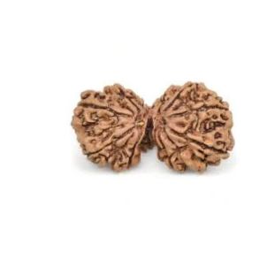 Gauri Shankar Ganesh Premium