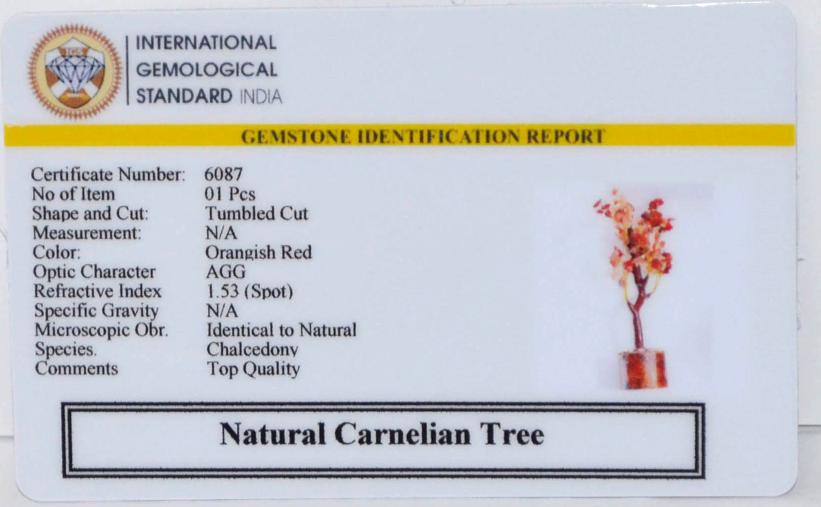 6087 Natural Carnelian Tree