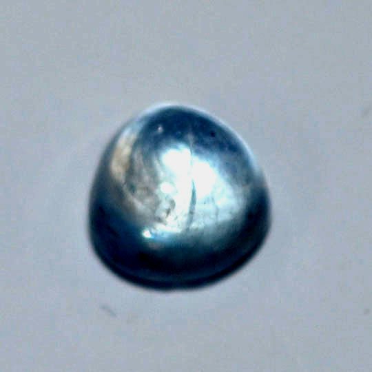 BLUE SAPPHIRE 1.6 Ct.