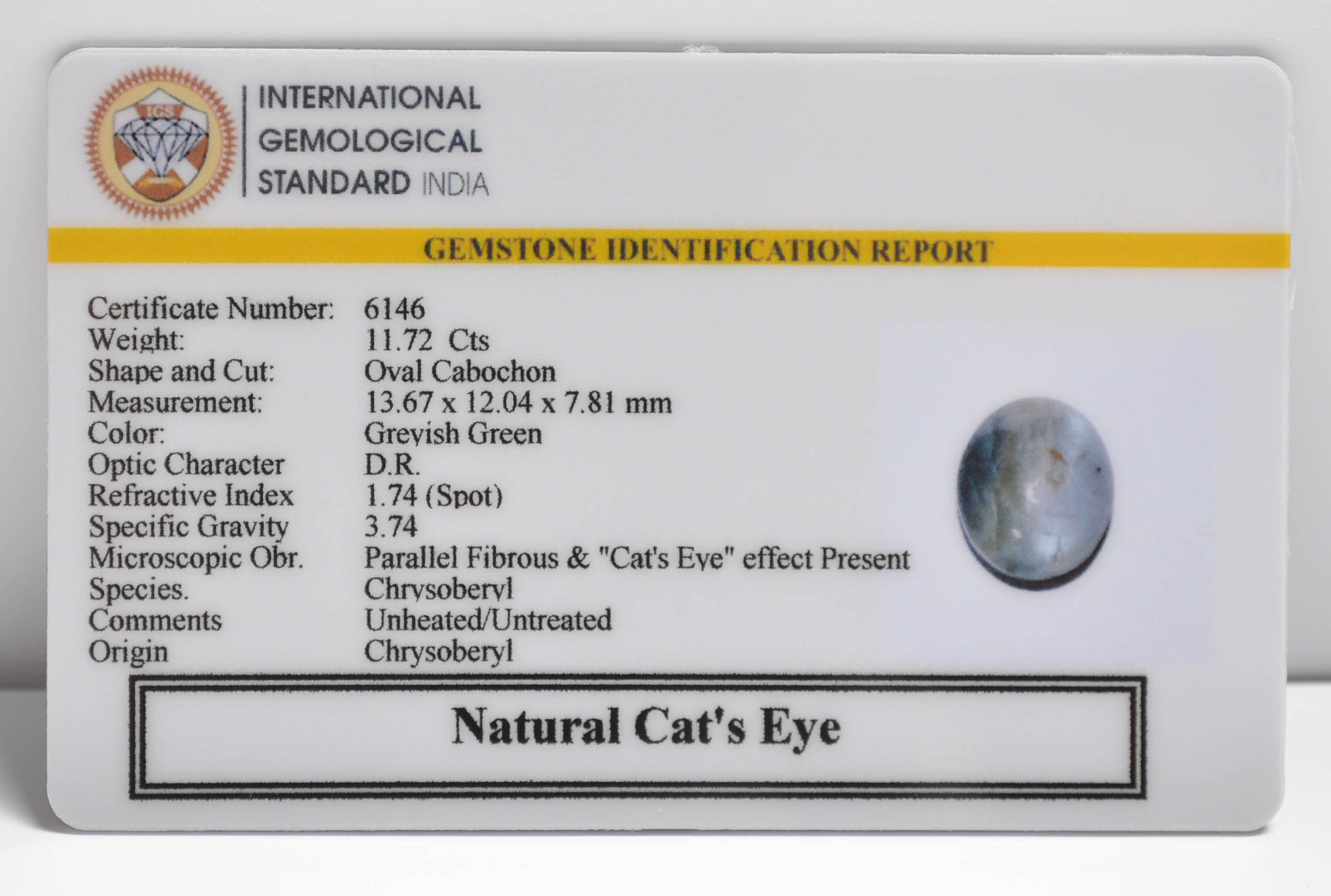 CE2848 2 CATS EYE 11.72 Ct.