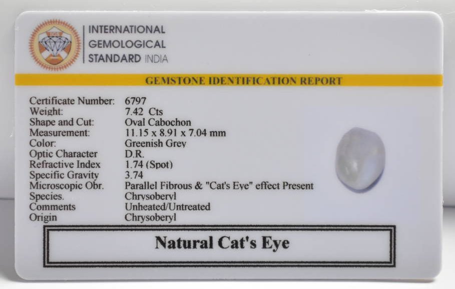 CE2855 2 CATS EYE 7.42 Ct.