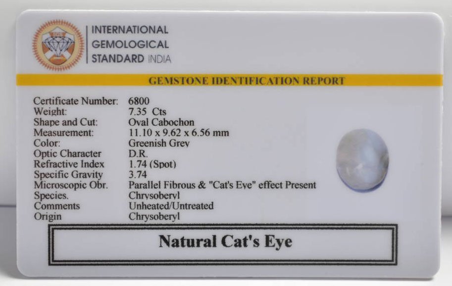 CE2858 2 CATS EYE 7.35 Ct.