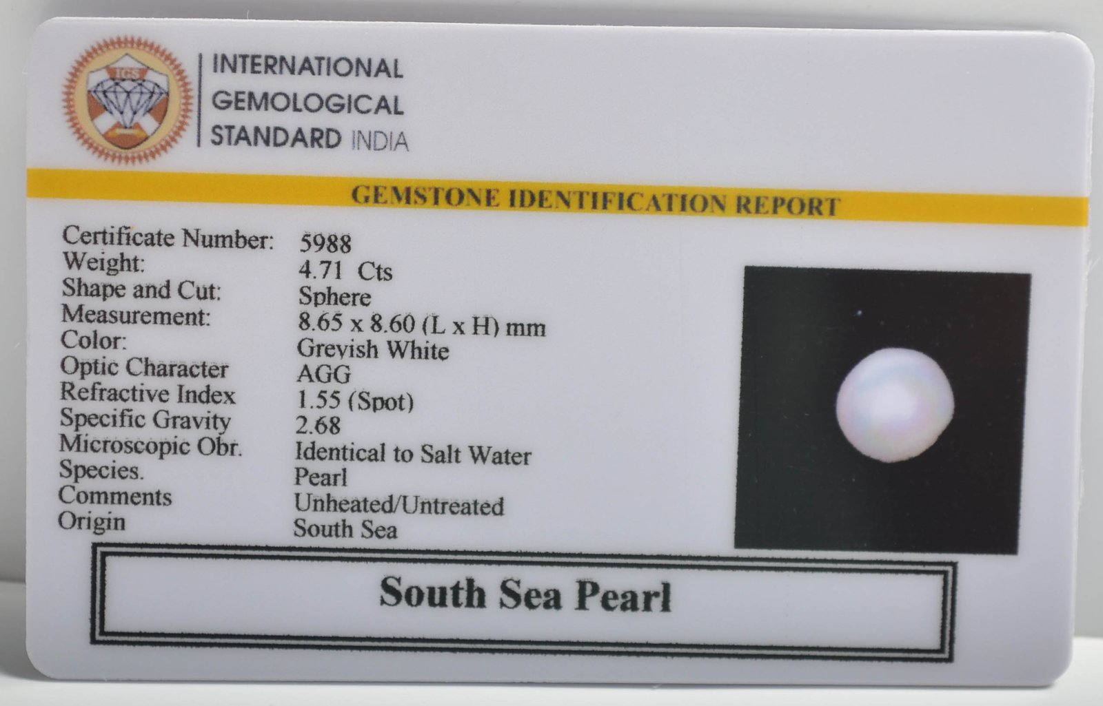 DSP2990 2 SOUTH SEA PEARL 4.71 Ct.