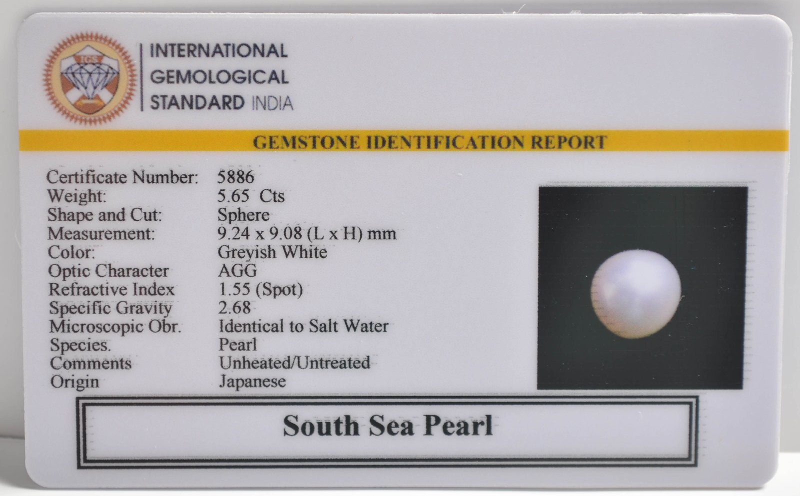 DSPG2841 2 1 SOUTH SEA PEARL 5.65 Ct.