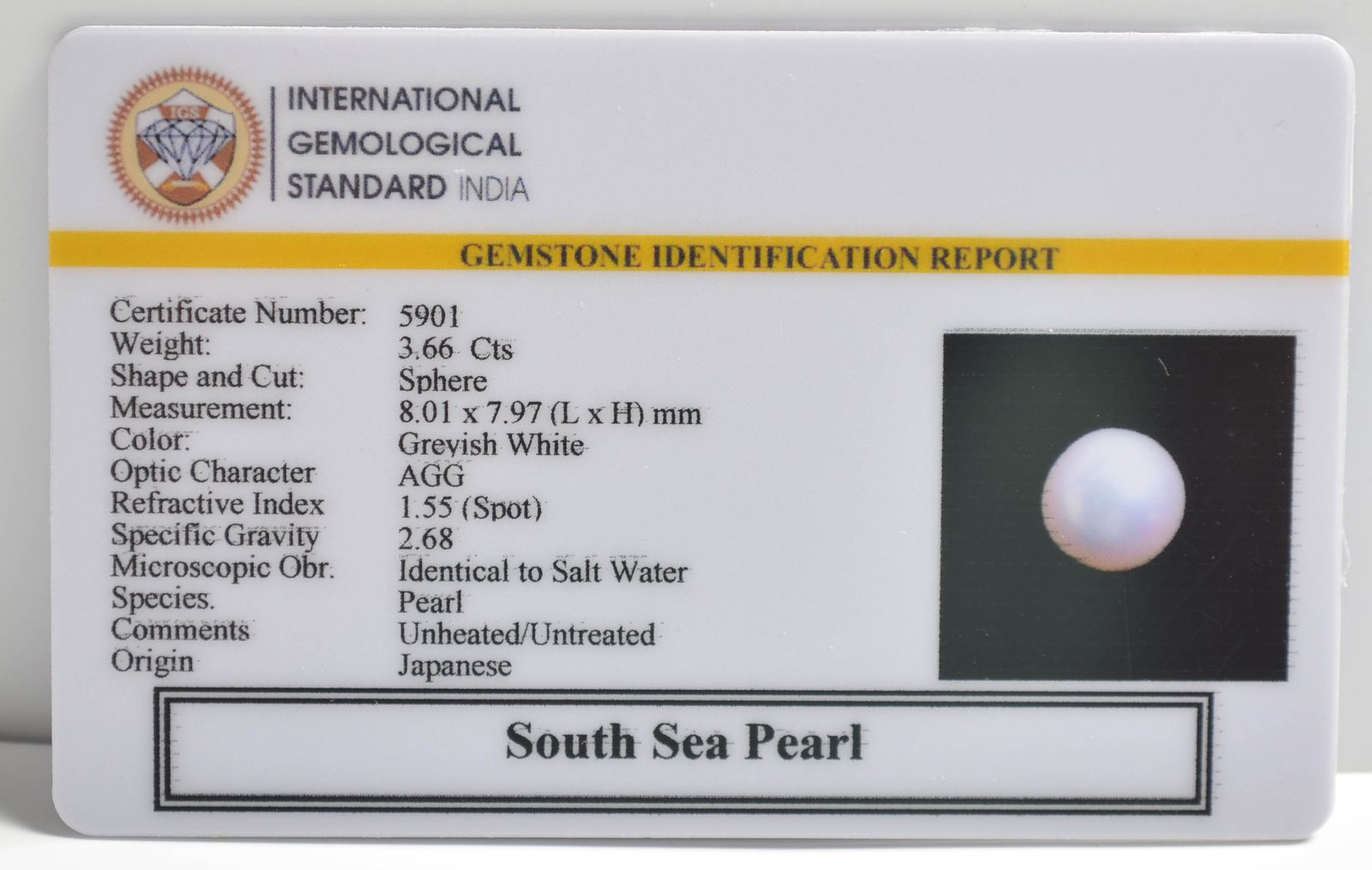 DSPG2844 2 1 SOUTH SEA PEARL 3.66 Ct.