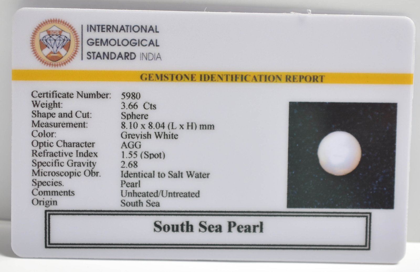 DSPG2859 2 1 SOUTH SEA PEARL 3.66 Ct.