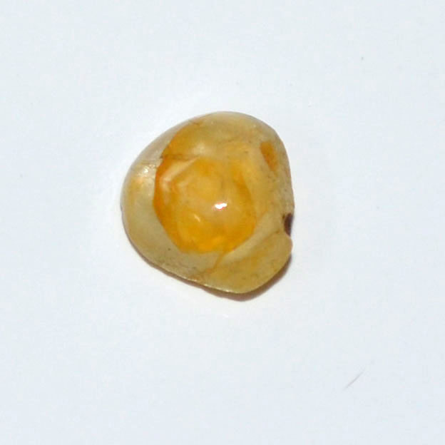 YELLOW SAPPHIRE 1.54 Ct.