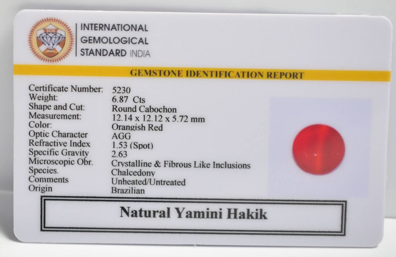 YAM13 2 2 YAMINI HAKIK 6.87 Ct.