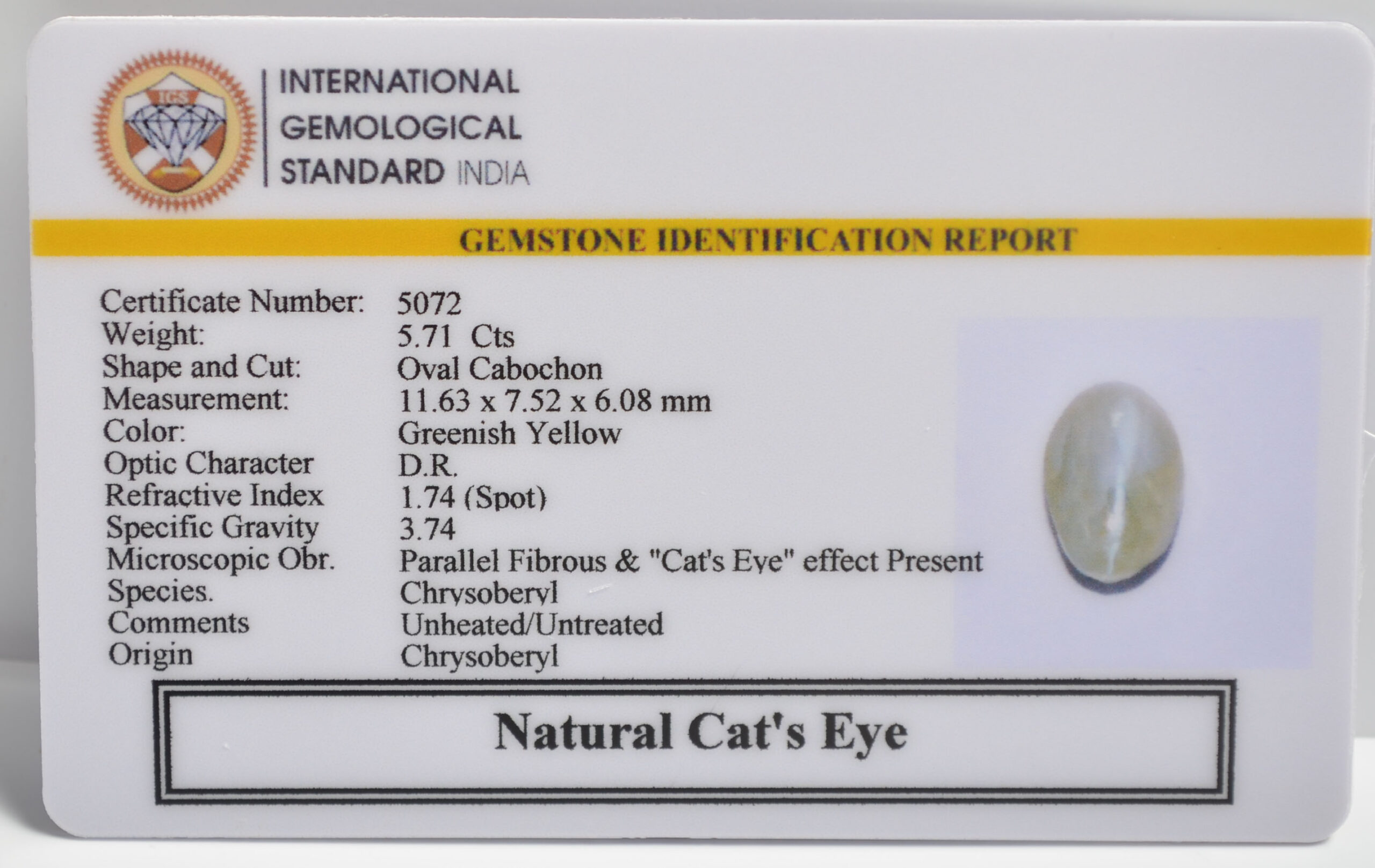 CATS EYE 5.71 Ct. 3 CE2798 2 1 scaled CATS EYE 5.71 Ct.