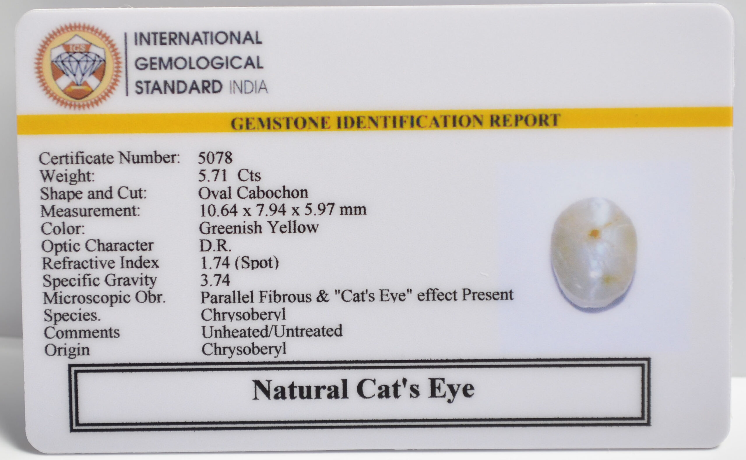 CATS EYE 5.71 Ct. 3 CE2803 2 1 scaled CATS EYE 5.71 Ct.