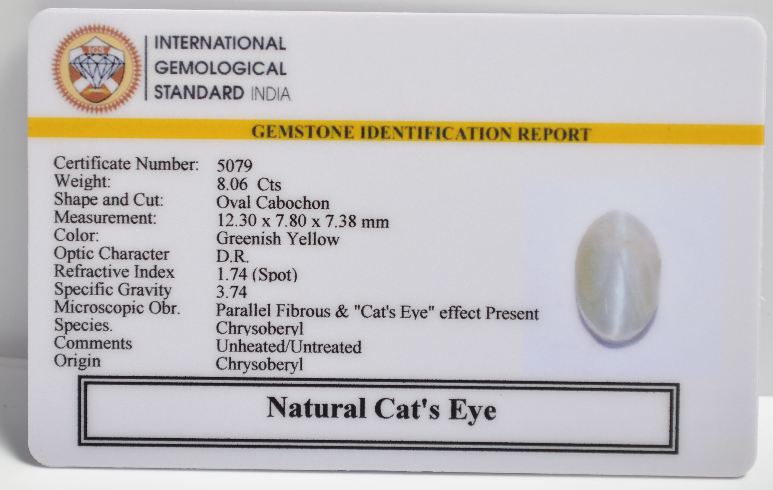 CATS EYE 8.06 Ct. 3 CE2804 2 1 scaled CATS EYE 8.06 Ct.