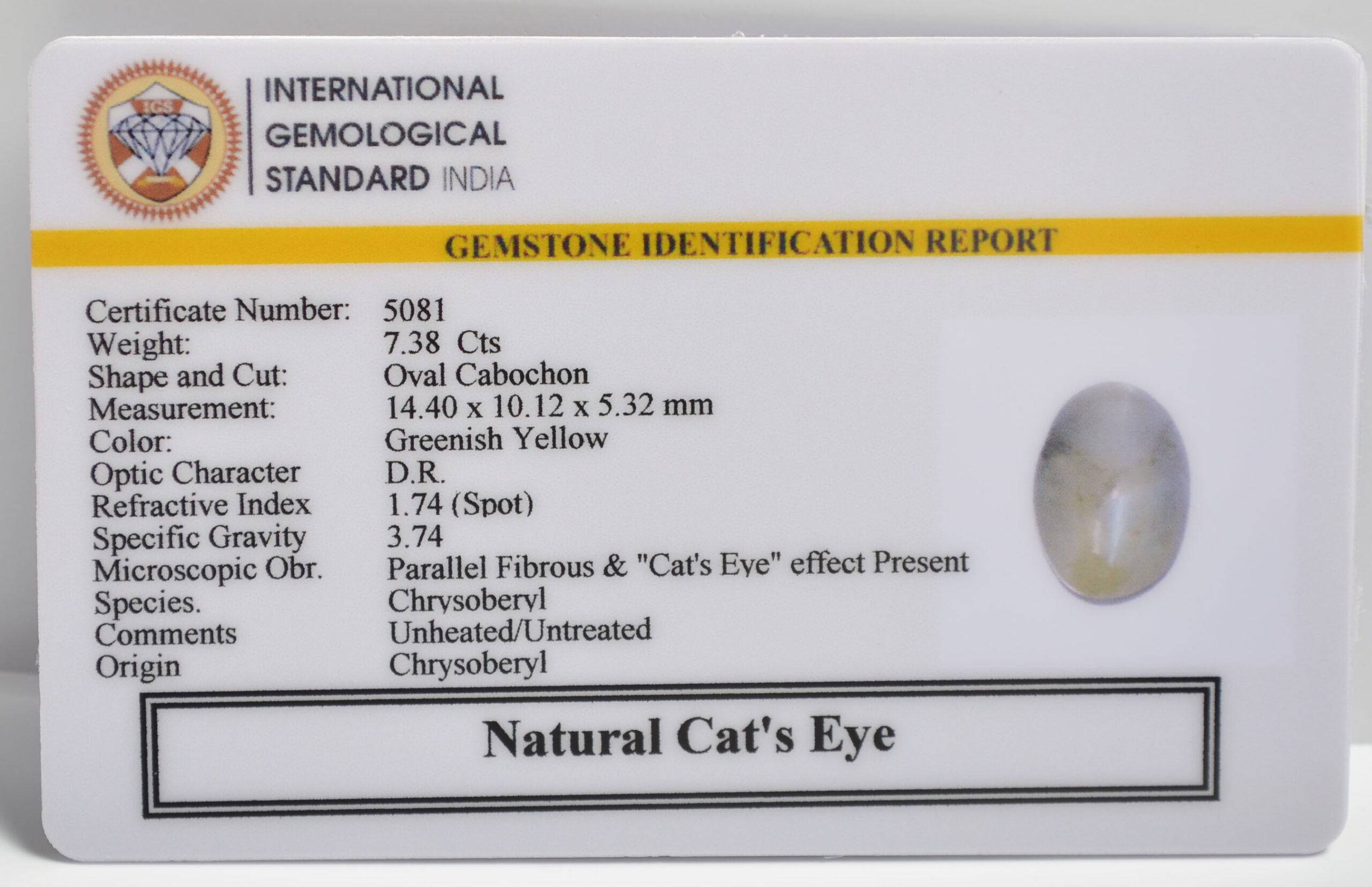 CATS EYE 7.38 Ct. 3 CE2806 2 1 scaled CATS EYE 7.38 Ct.