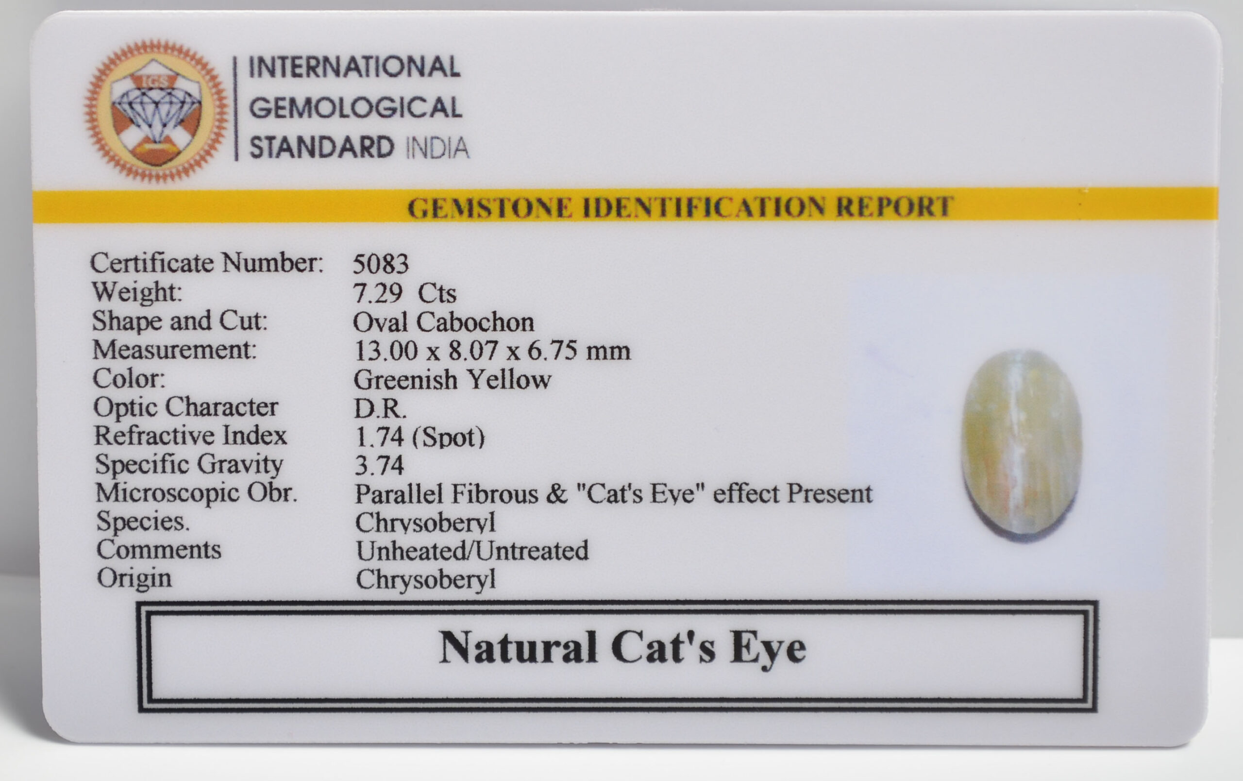 CATS EYE 7.29 Ct. 3 CE2807 2 1 scaled CATS EYE 7.29 Ct.