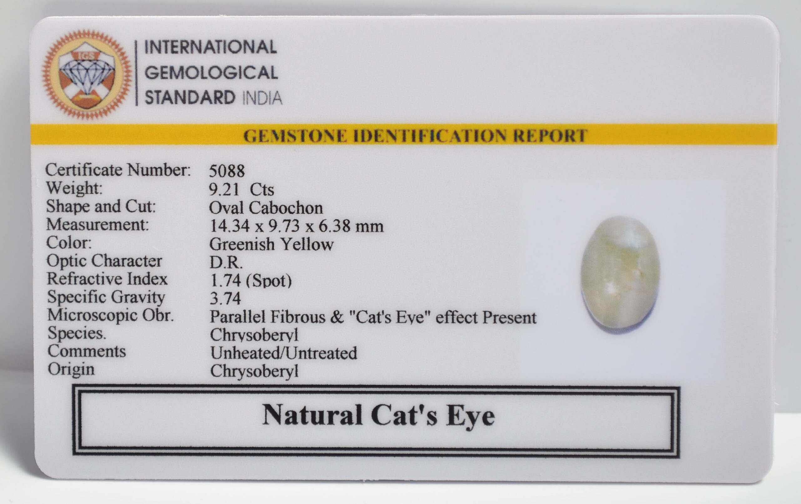 CATS EYE 9.21 Ct. 3 CE2811 2 1 scaled CATS EYE 9.21 Ct.