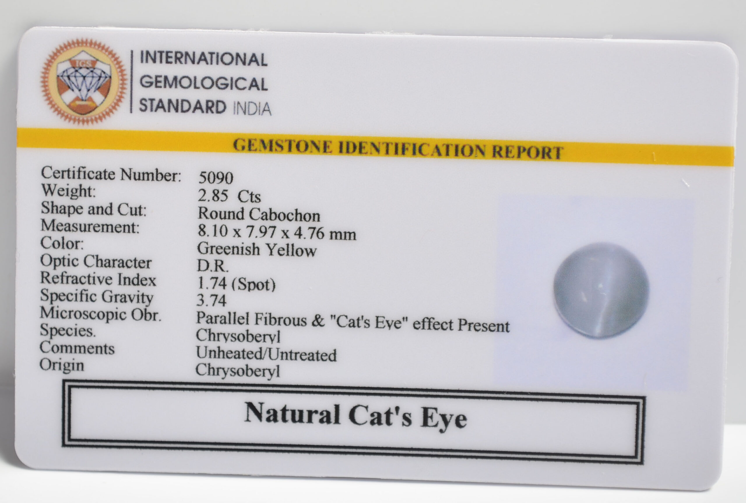 CATS EYE 2.85 Ct. 3 CE2813 2 1 scaled CATS EYE 2.85 Ct.