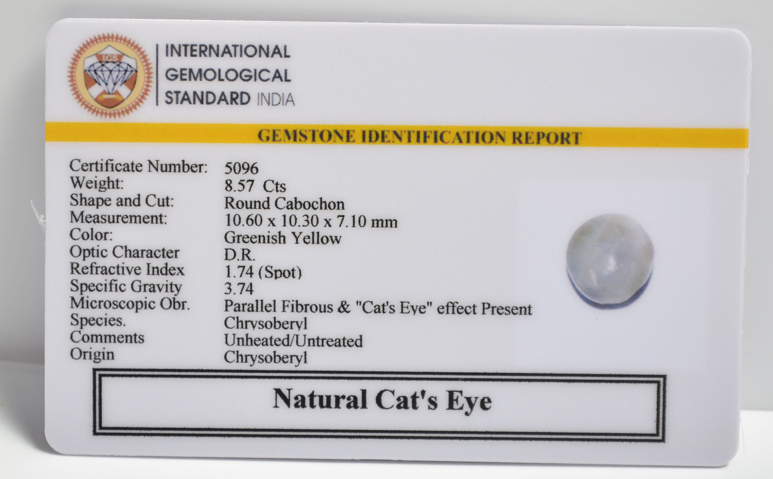 CATS EYE 8.57 Ct. 3 CE2819 2 1 scaled CATS EYE 8.57 Ct.