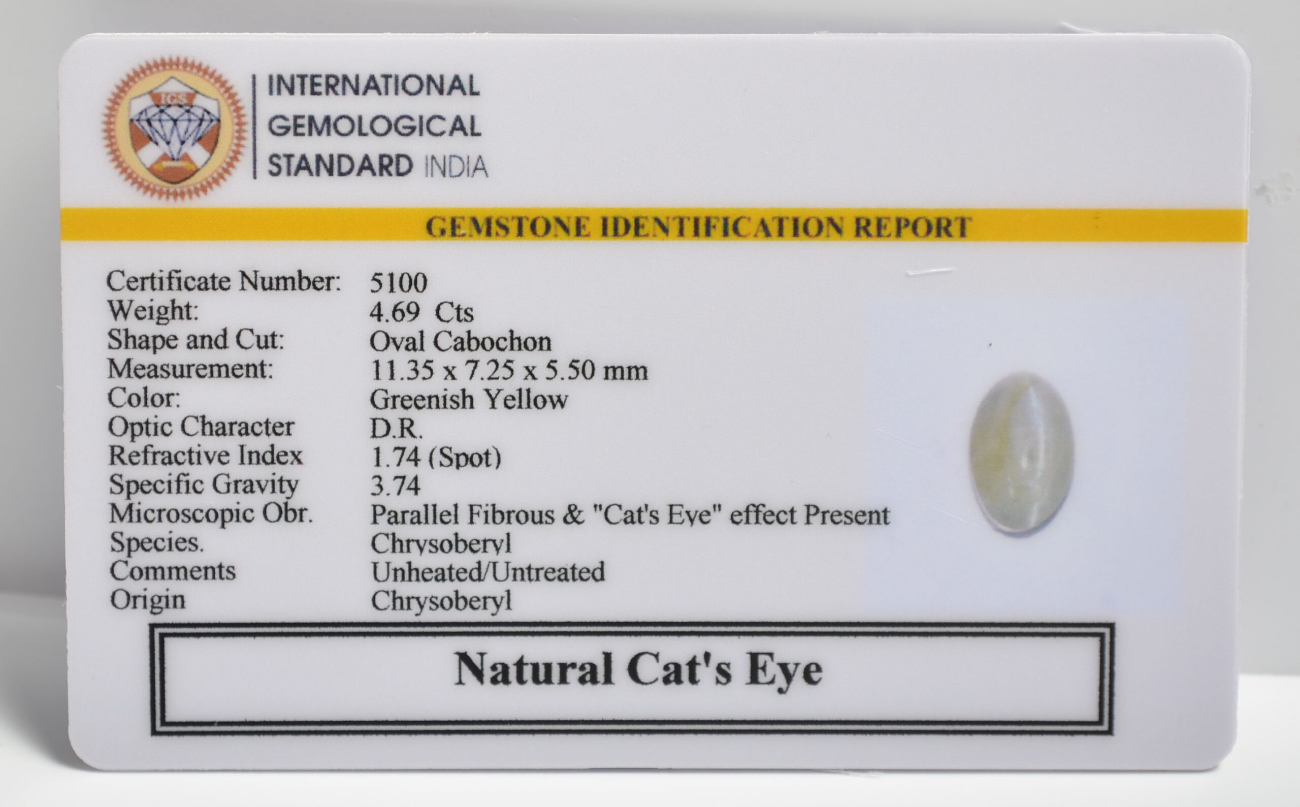 CATS EYE 4.69 Ct. 3 CE2821 2 1 scaled CATS EYE 4.69 Ct.