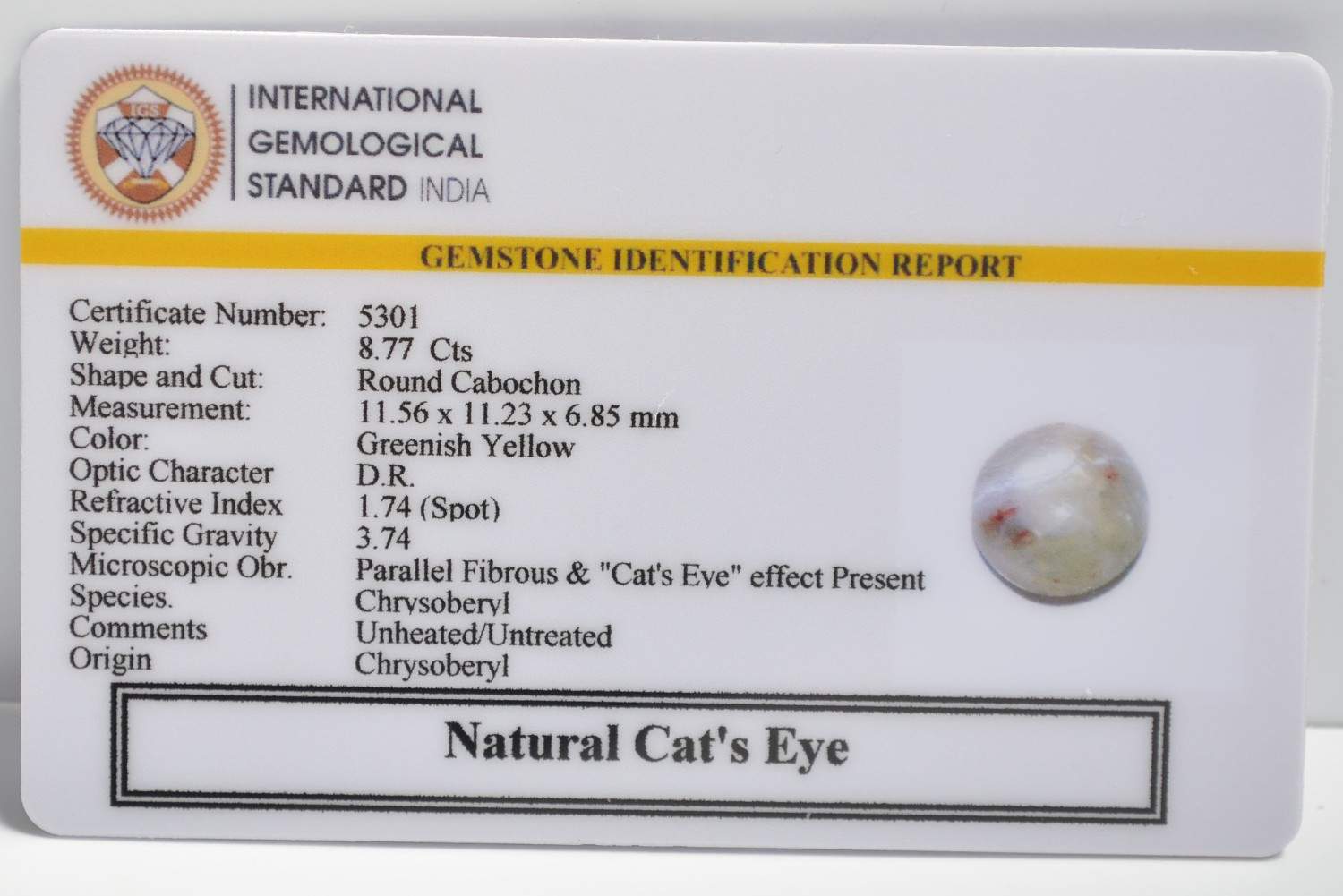 CE2839 2 1 CATS EYE 8.77 Ct.