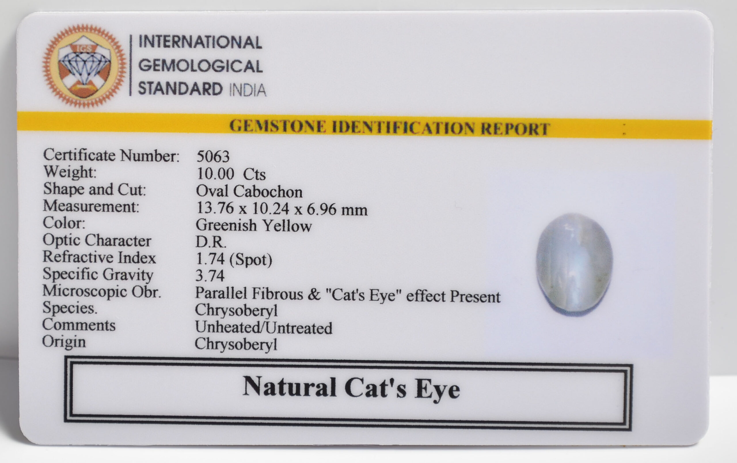 CEG2750 2 1 scaled CATS EYE 10 Ct.