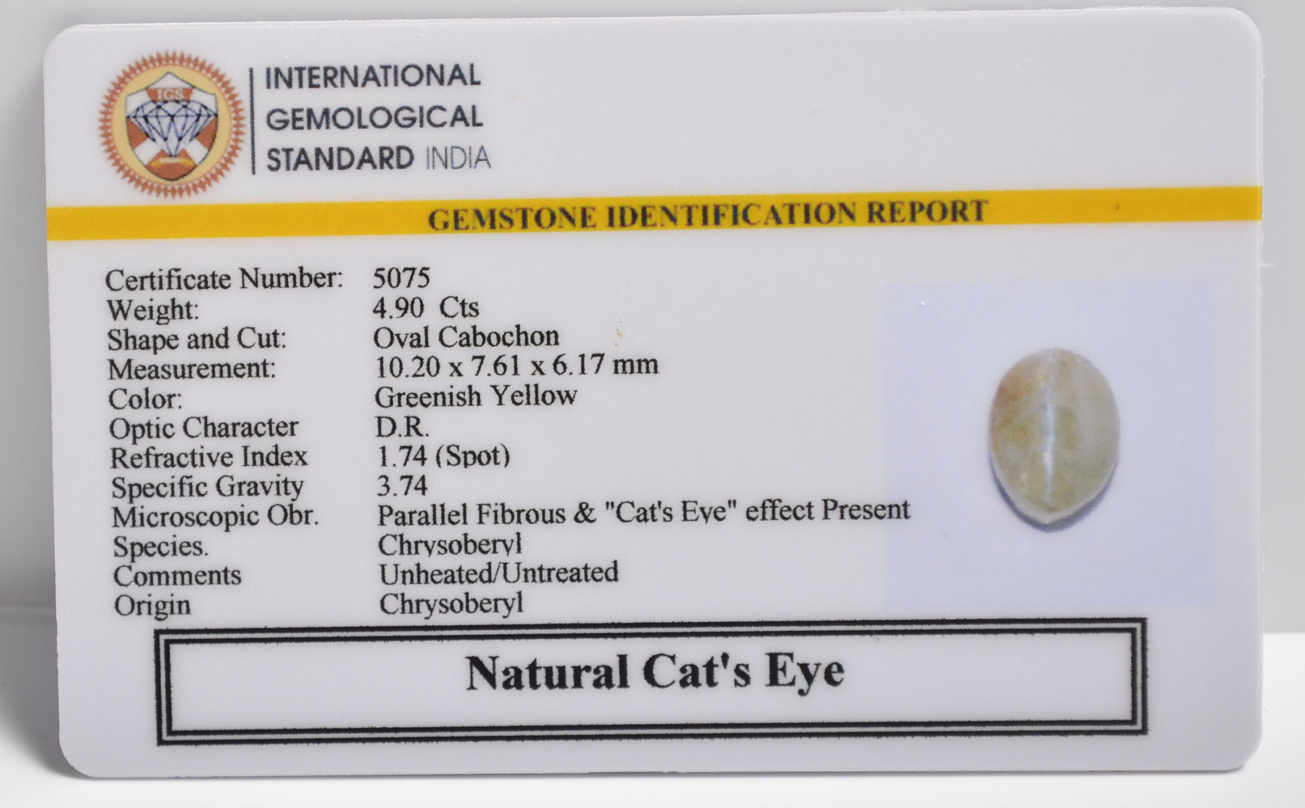 CATS EYE 4.9 Ct. 3 CEG2752 2 1 scaled CATS EYE 4.9 Ct.
