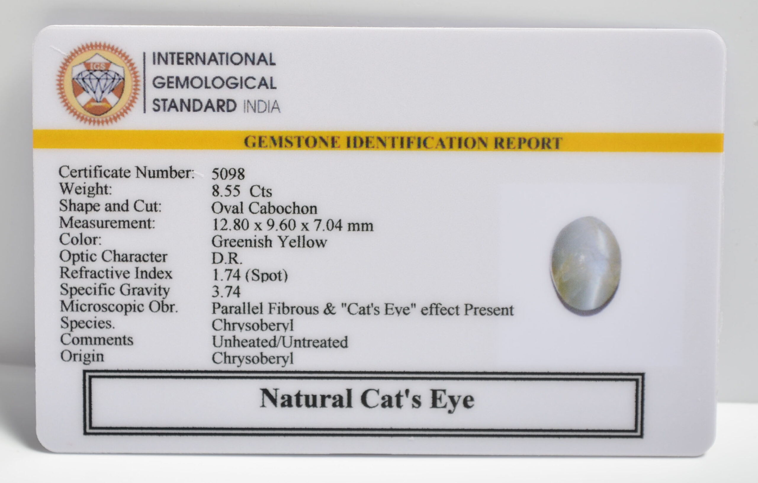 CATS EYE 8.55 Ct. 3 CEG2756 2 1 scaled CATS EYE 8.55 Ct.