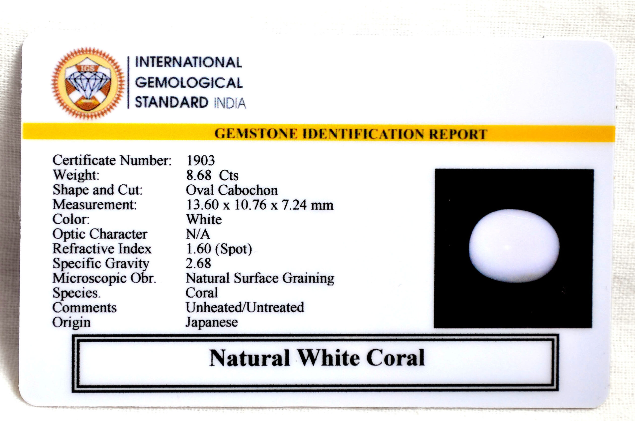 CORAL 8.68 Ct. 3 CRL6067 2 1 scaled CORAL 8.68 Ct.
