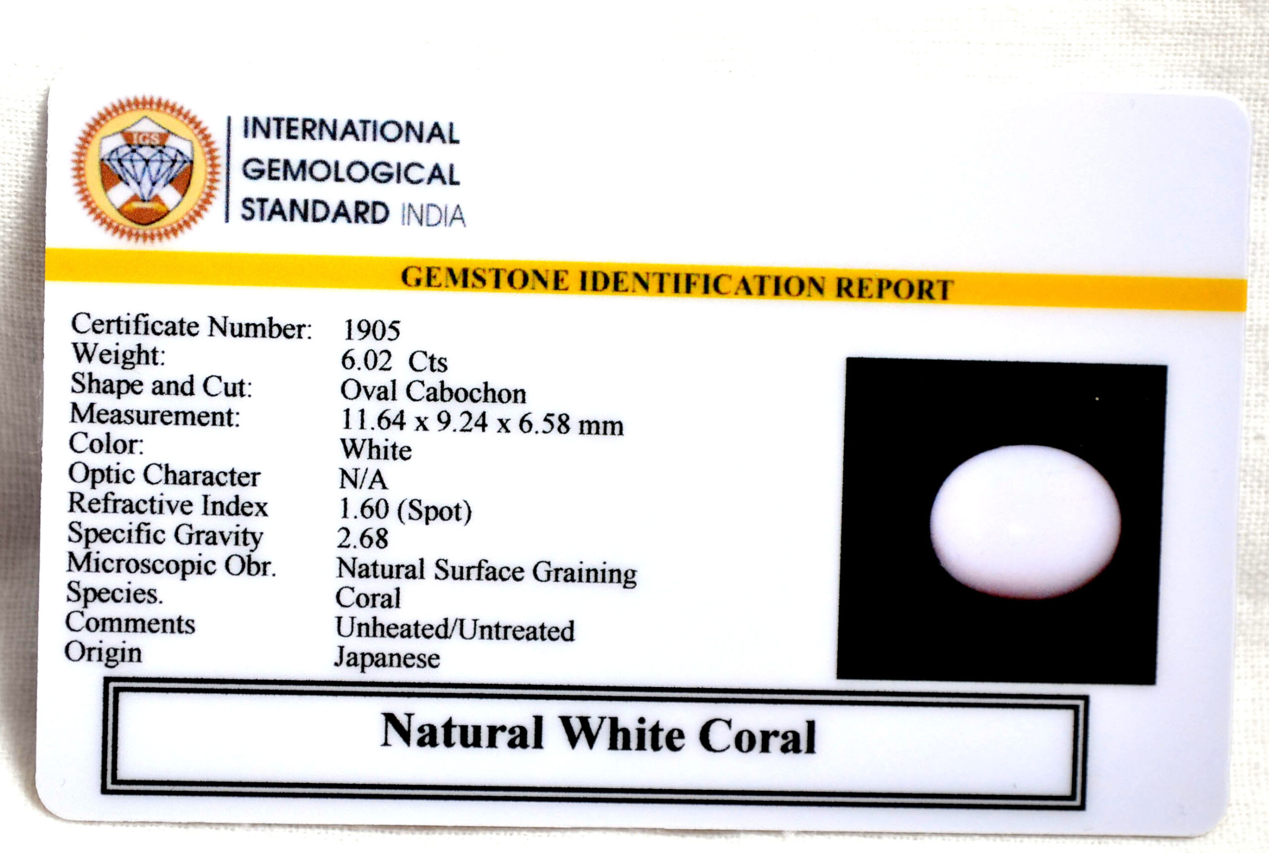 CORAL 6.02 Ct. 3 CRL6068 2 1 scaled CORAL 6.02 Ct.