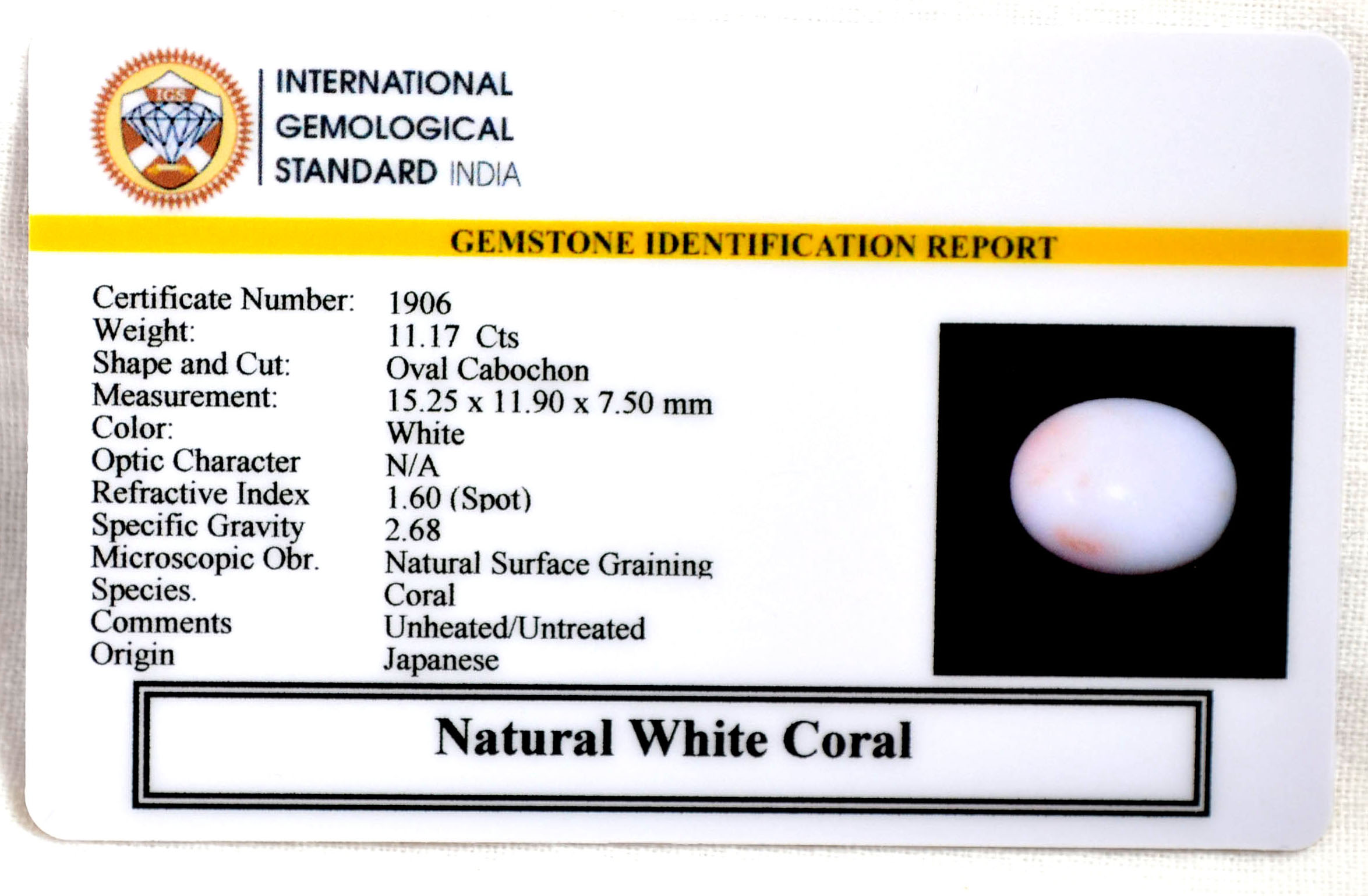 CORAL 11.17 Ct. 3 CRL6069 2 CORAL 11.17 Ct.