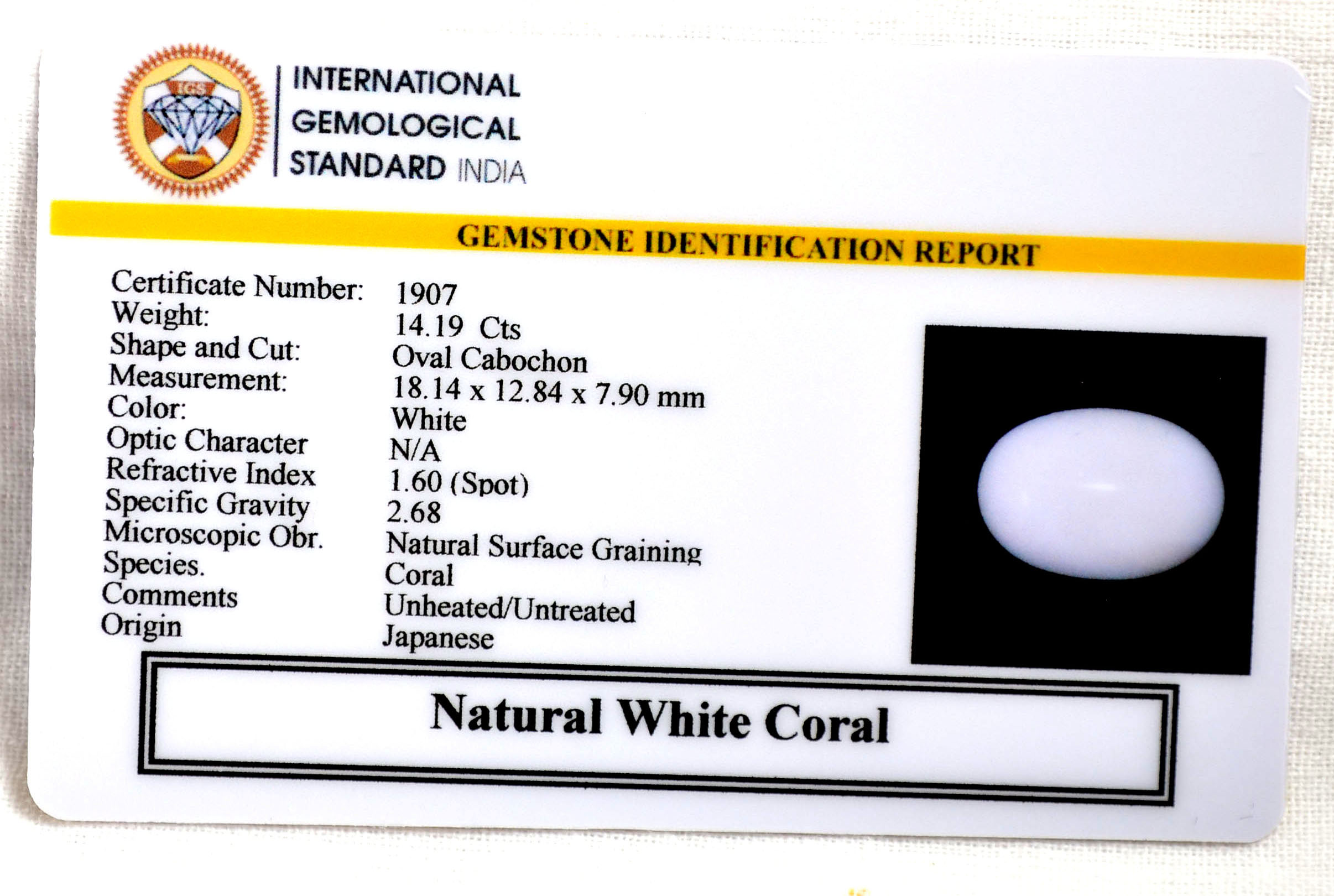 CORAL 14.19 Ct. 3 CRL6070 2 CORAL 14.19 Ct.