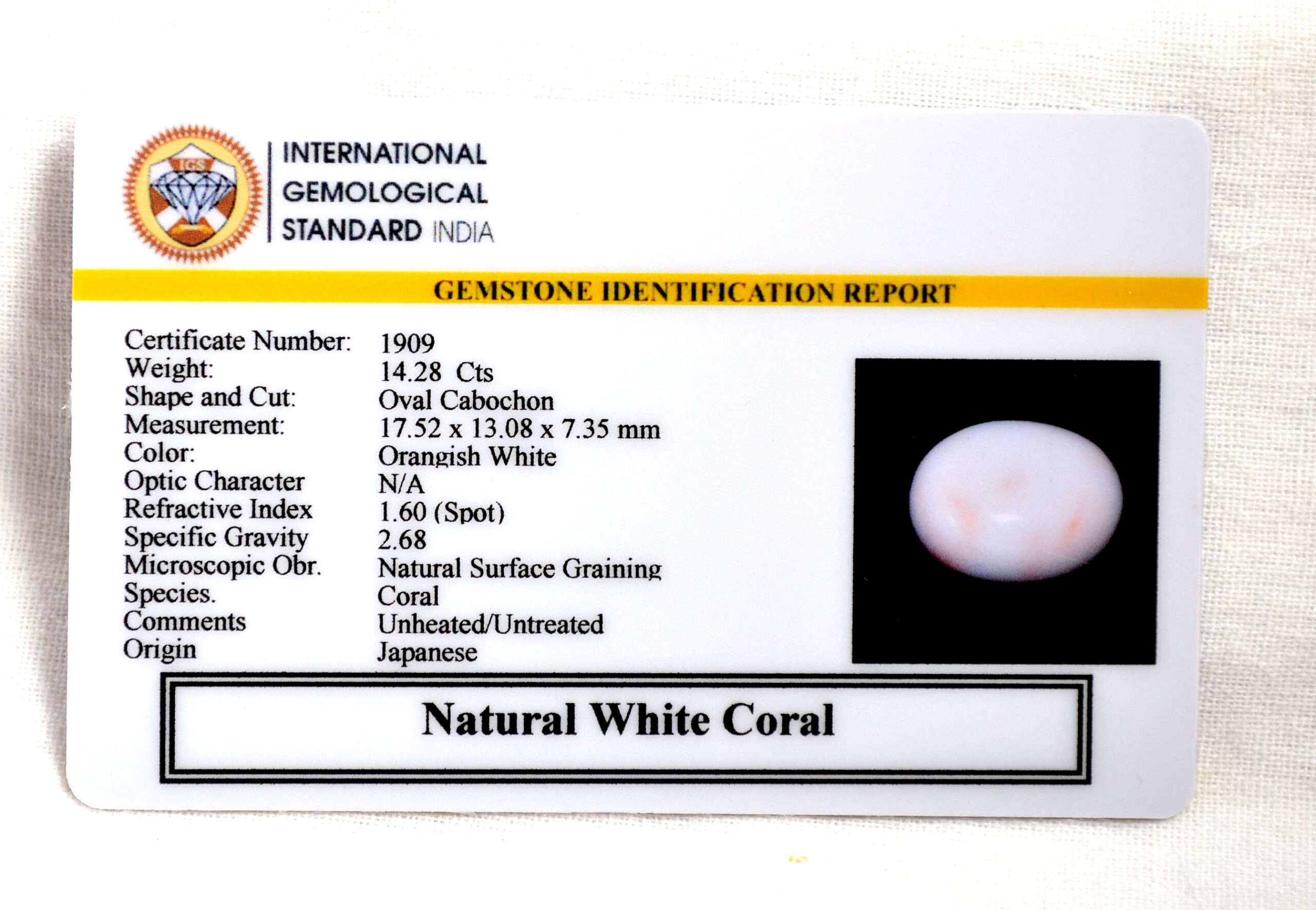 CORAL 14.28 Ct. 3 CRL6072 2 1 scaled CORAL 14.28 Ct.