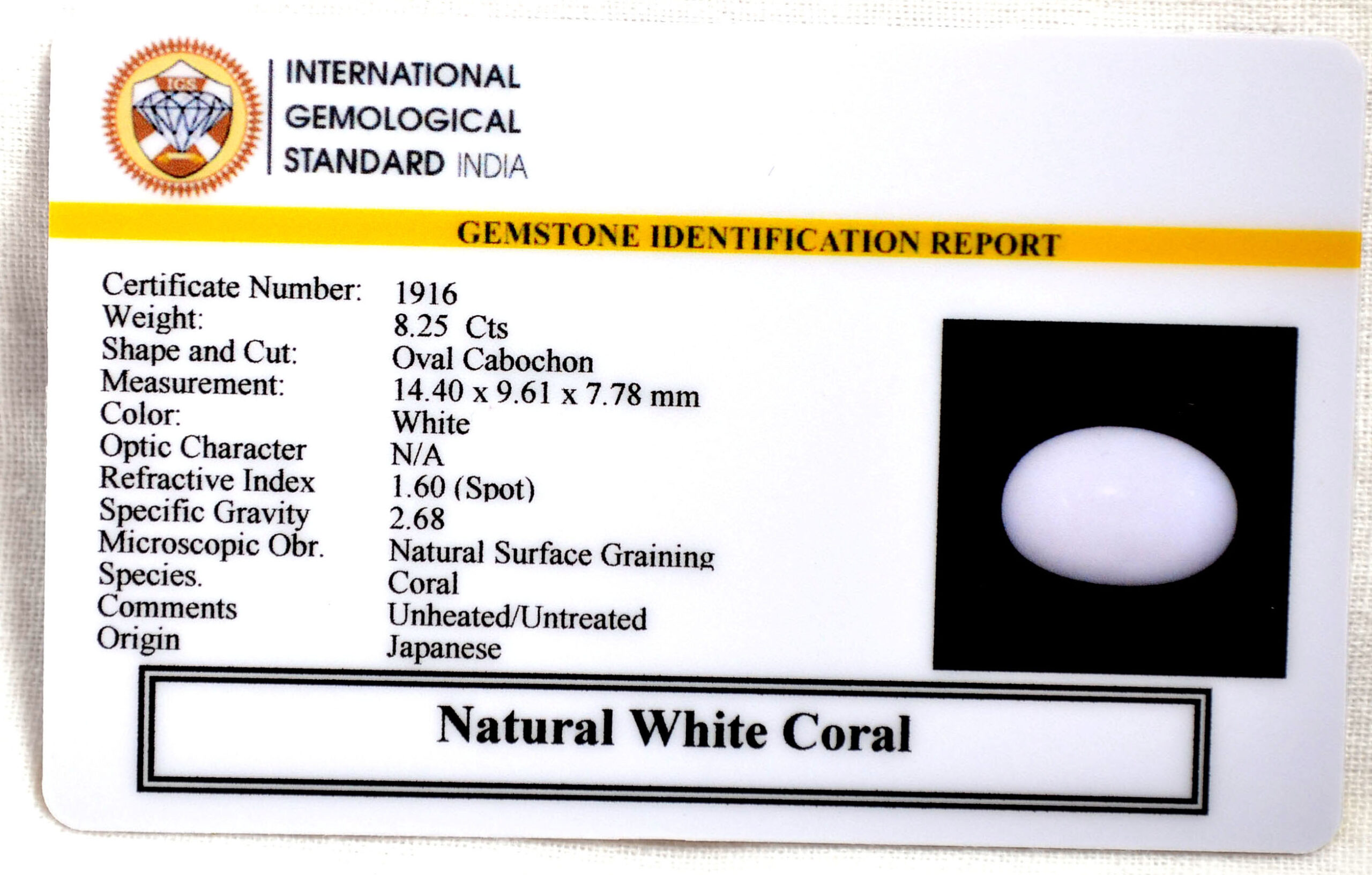 CRL6078 2 2 scaled CORAL 8.25 Ct.