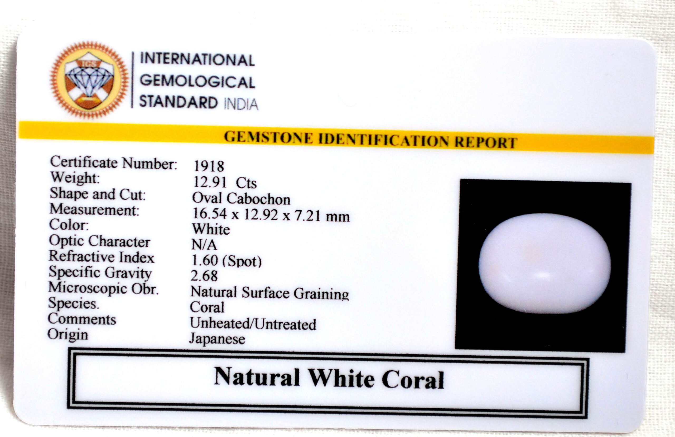 CRL6079 2 2 scaled CORAL 12.91 Ct.