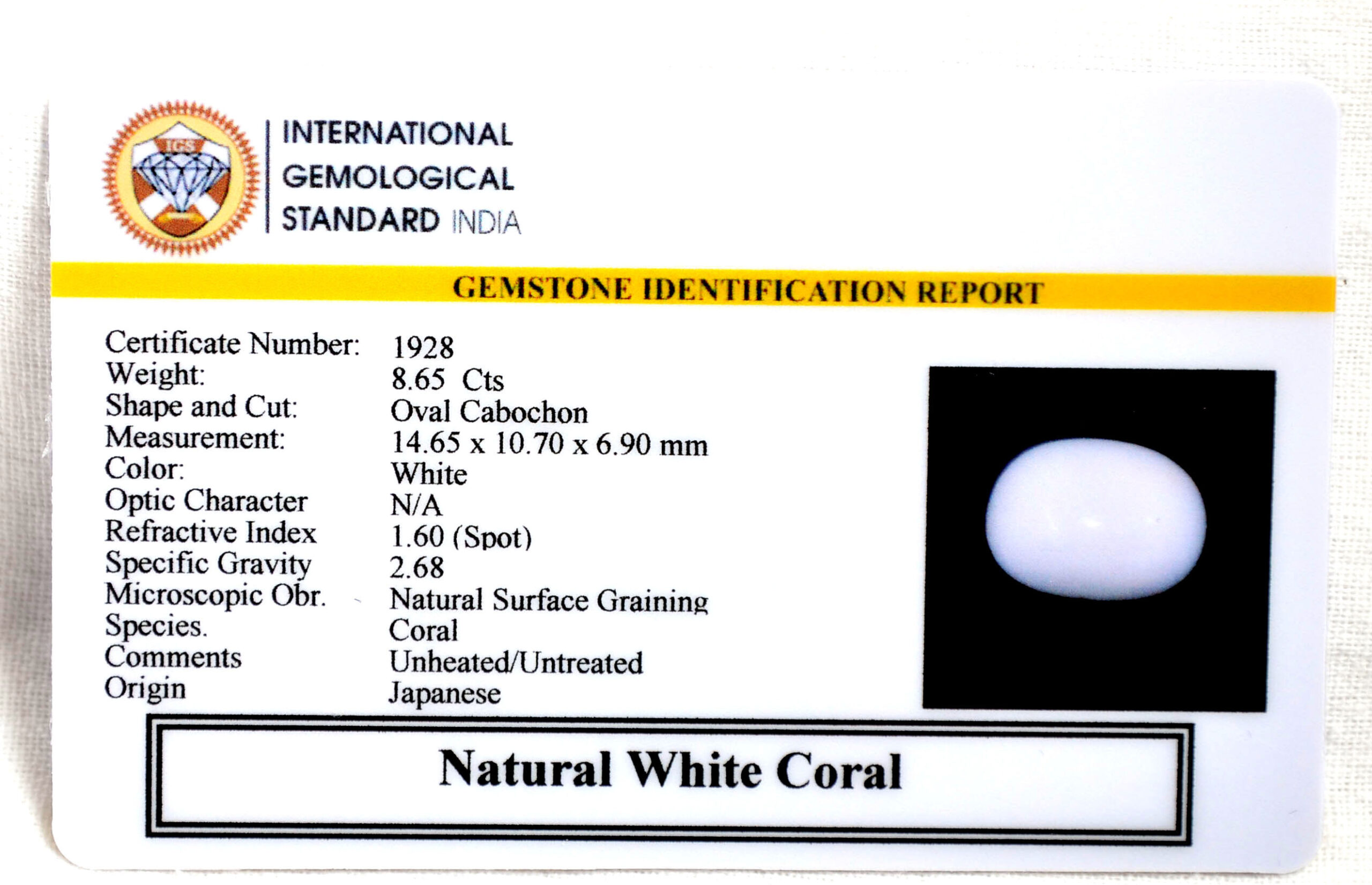 CRL6085 2 2 scaled CORAL 8.65 Ct.