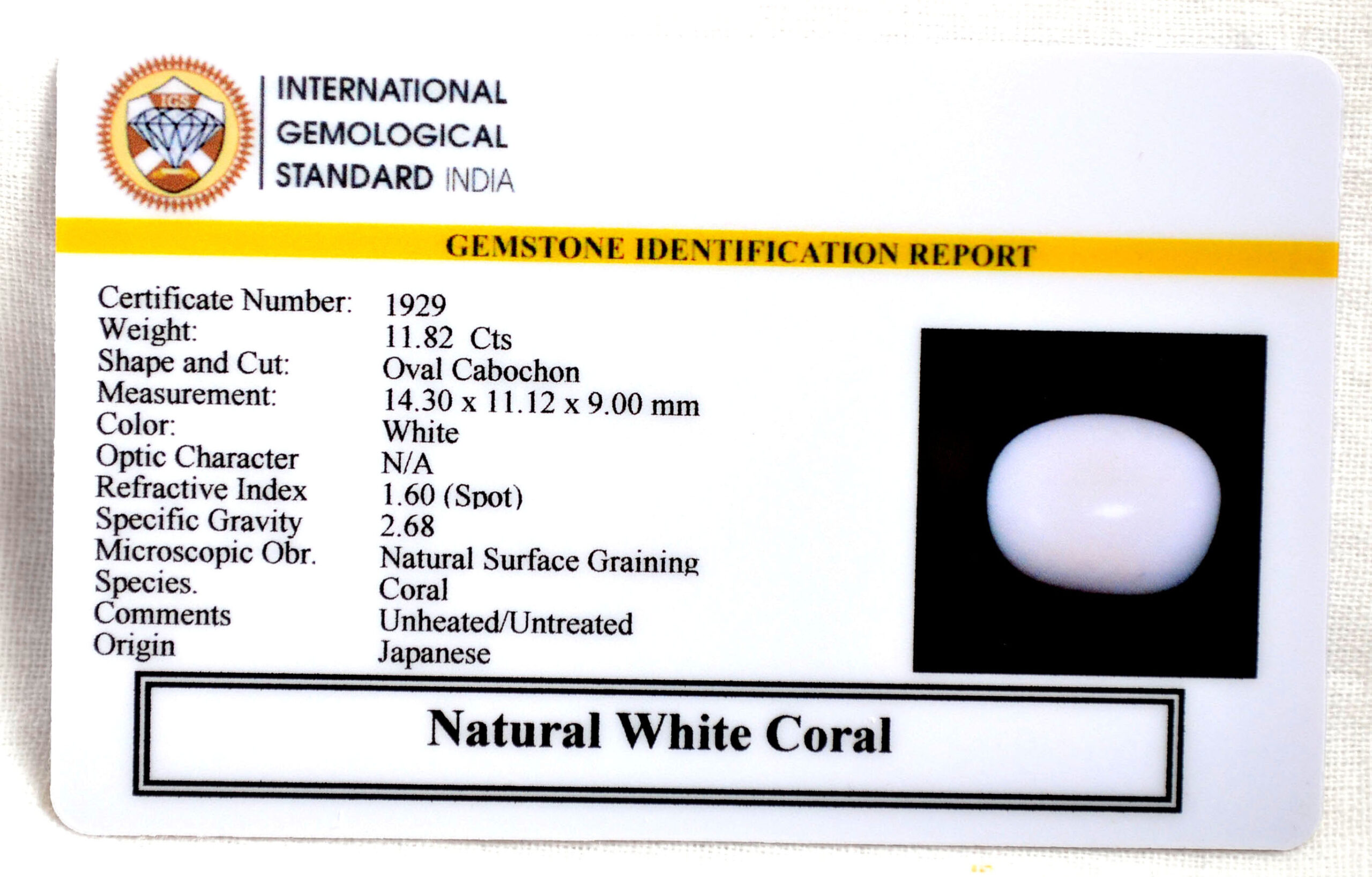 CRL6086 2 2 scaled CORAL 11.82 Ct.