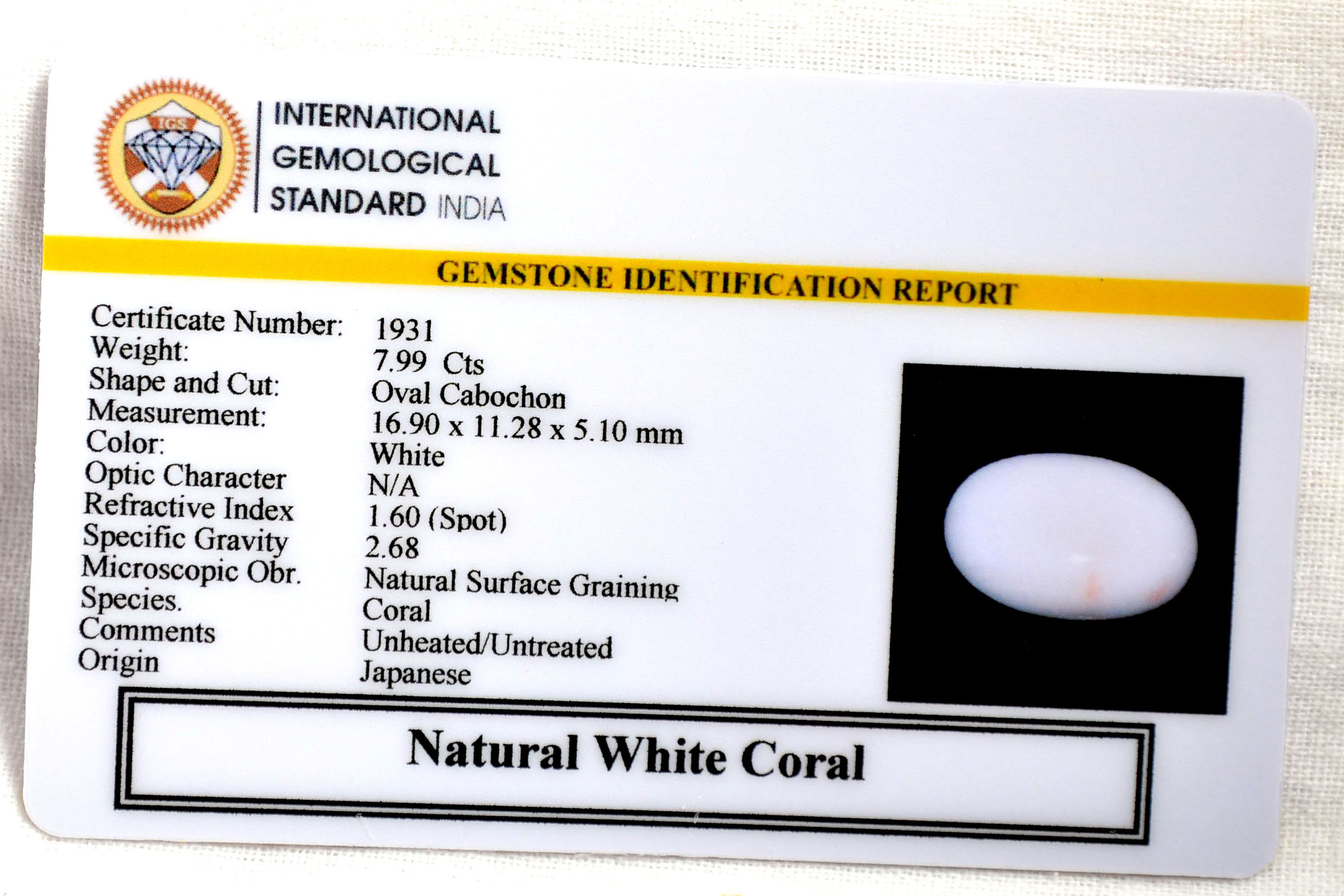 CORAL 7.99 Ct. 3 CRL6088 2 CORAL 7.99 Ct.