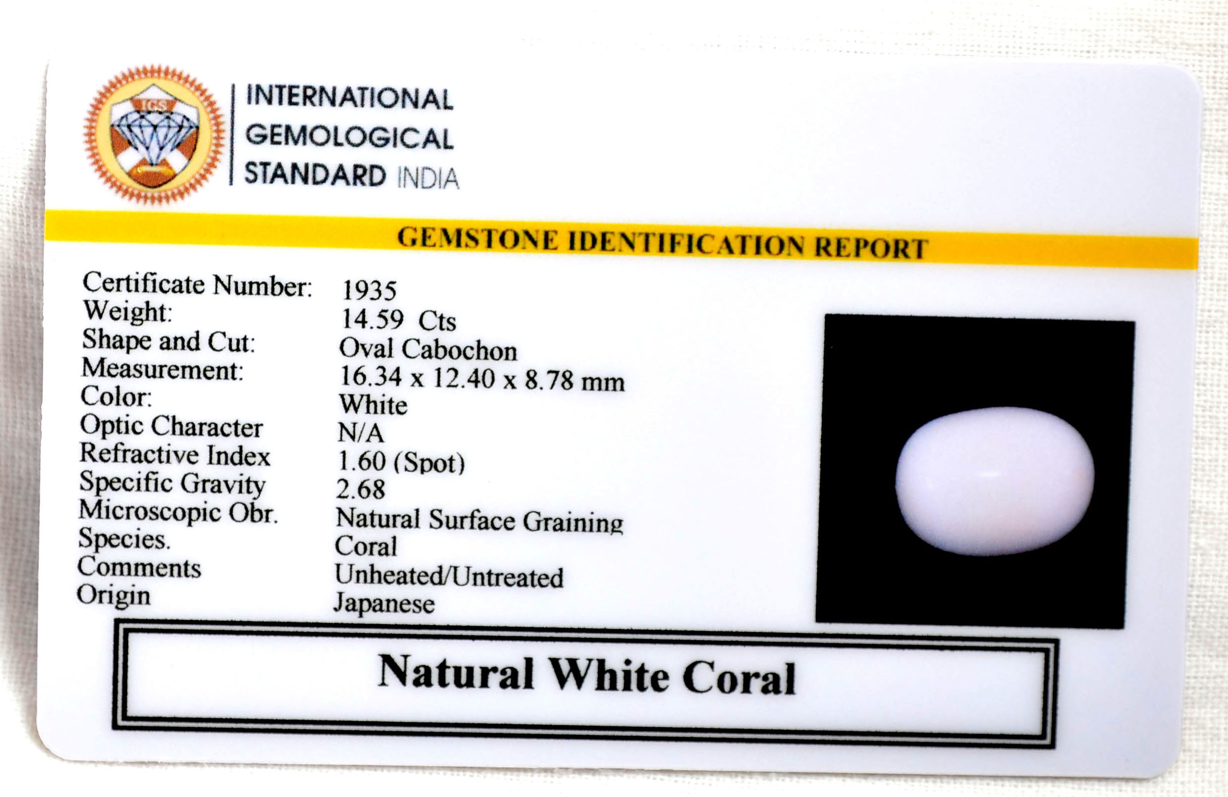 CORAL 14.59 Ct. 3 CRL6092 2 CORAL 14.59 Ct.