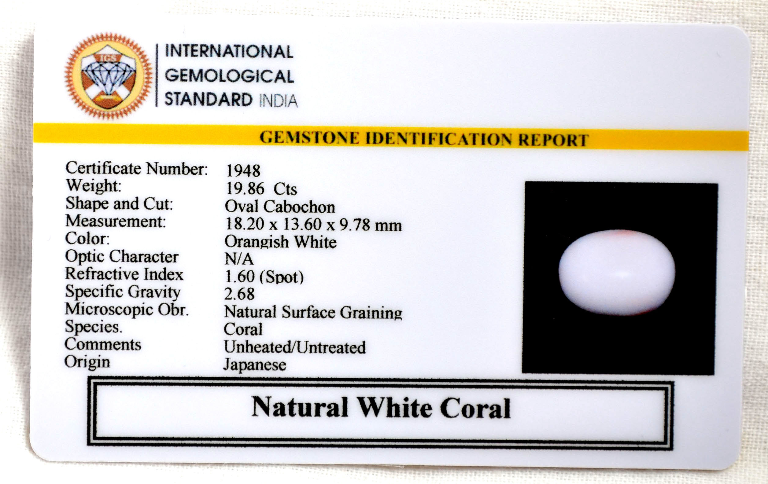 CORAL 19.86 Ct. 3 CRL6100 2 CORAL 19.86 Ct.