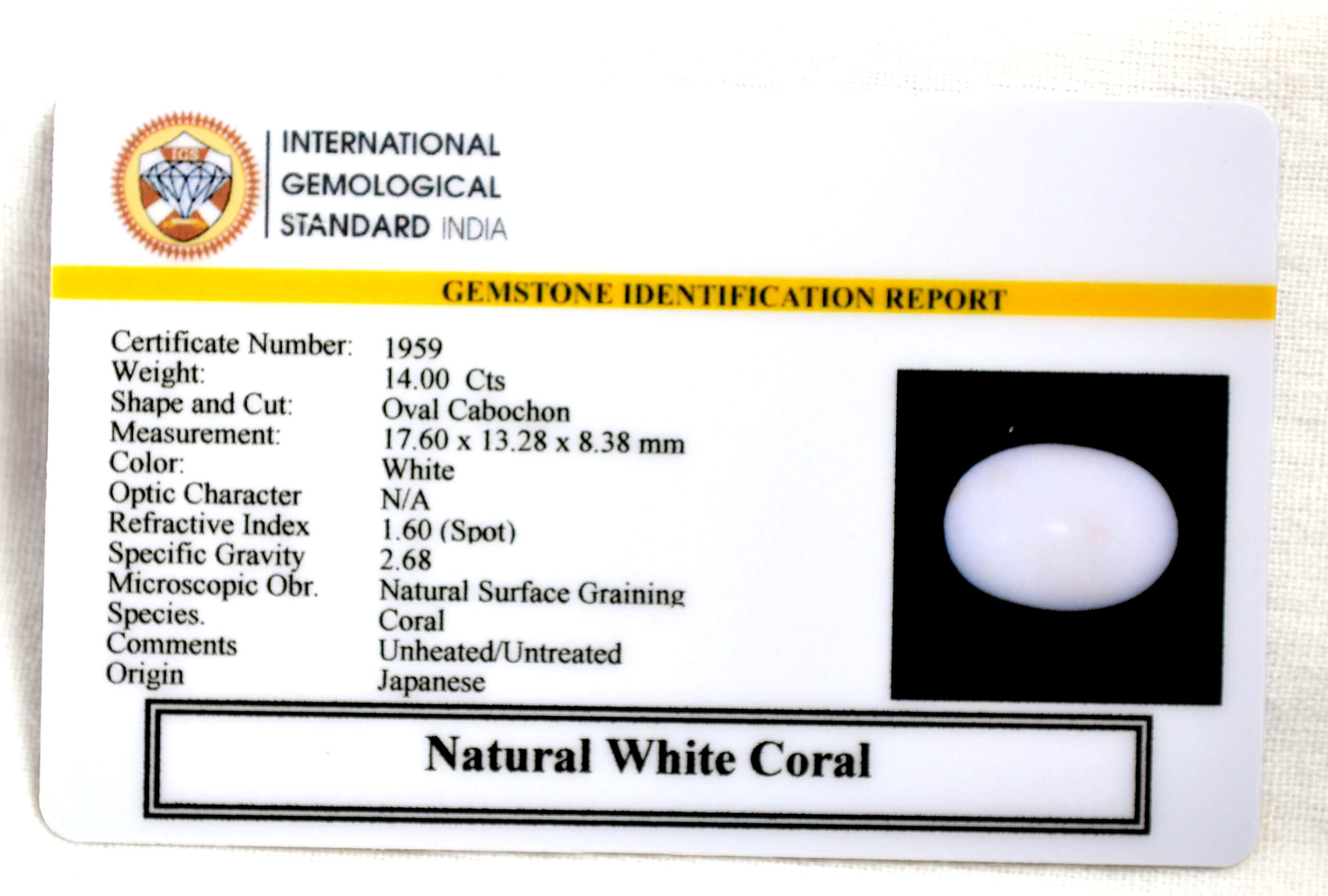 CORAL 14 Ct. 3 CRL6110 2 2 scaled CORAL 14 Ct.