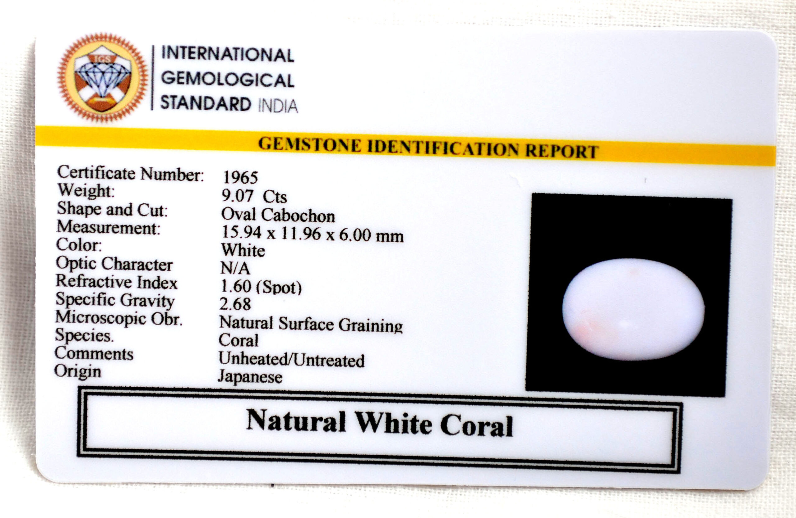 CORAL 9.07 Ct. 3 CRL6115 2 2 scaled CORAL 9.07 Ct.