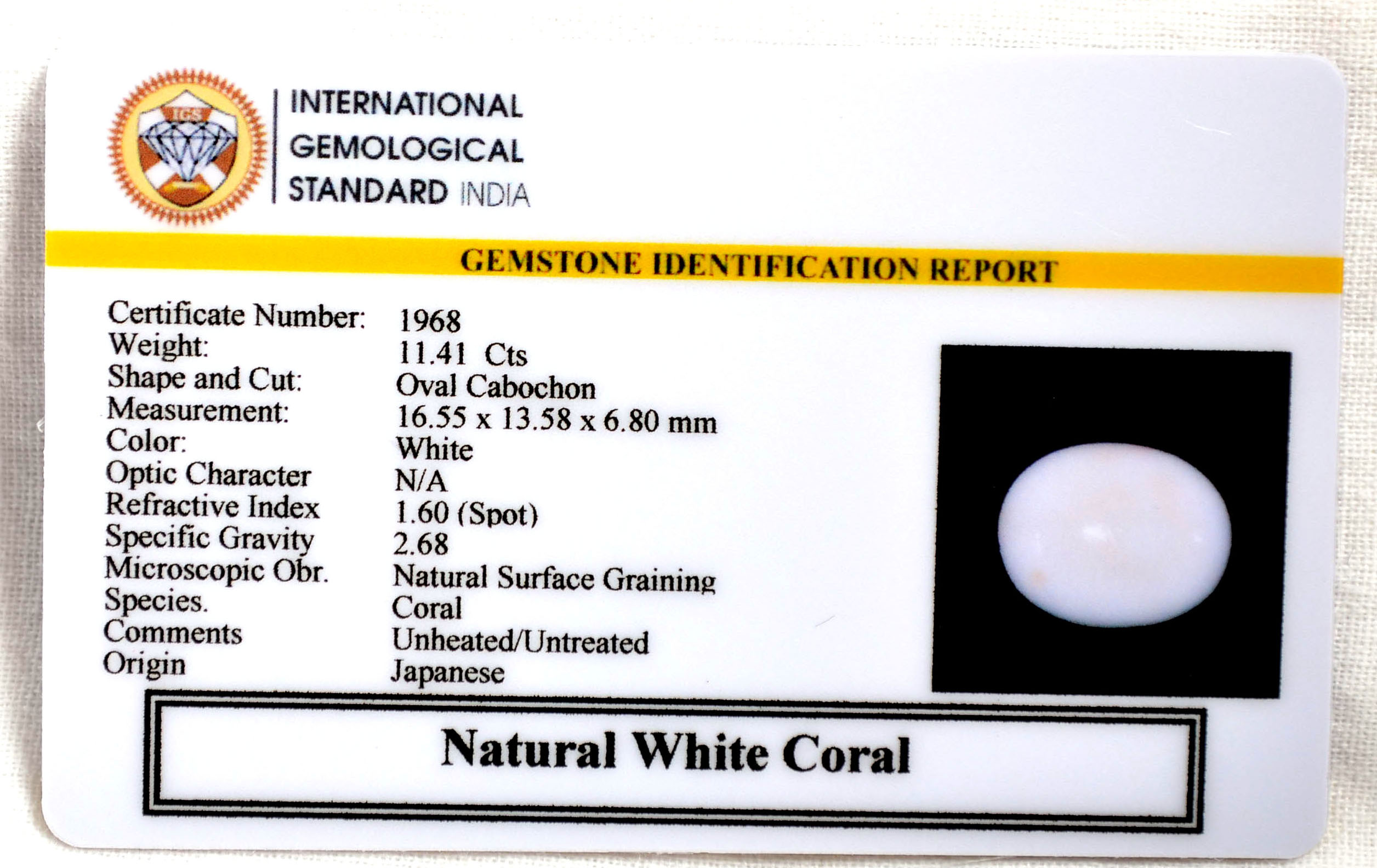 CRL6117 2 CORAL 11.41 Ct.